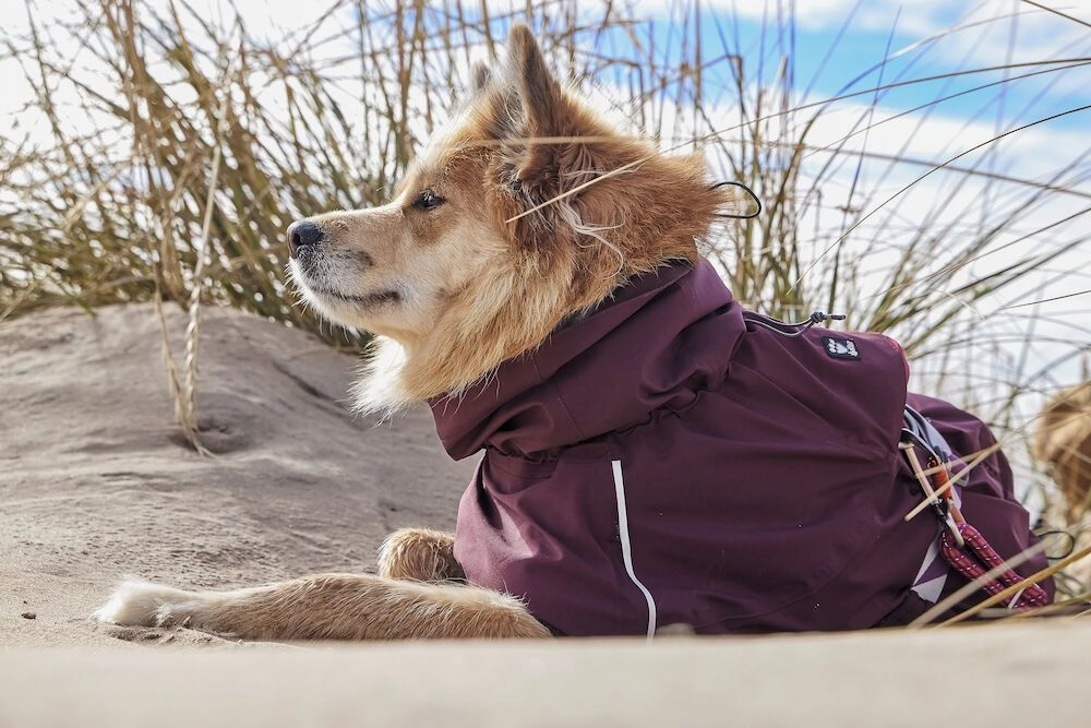 Hurtta Dog Mudventure: Raincoat Eco