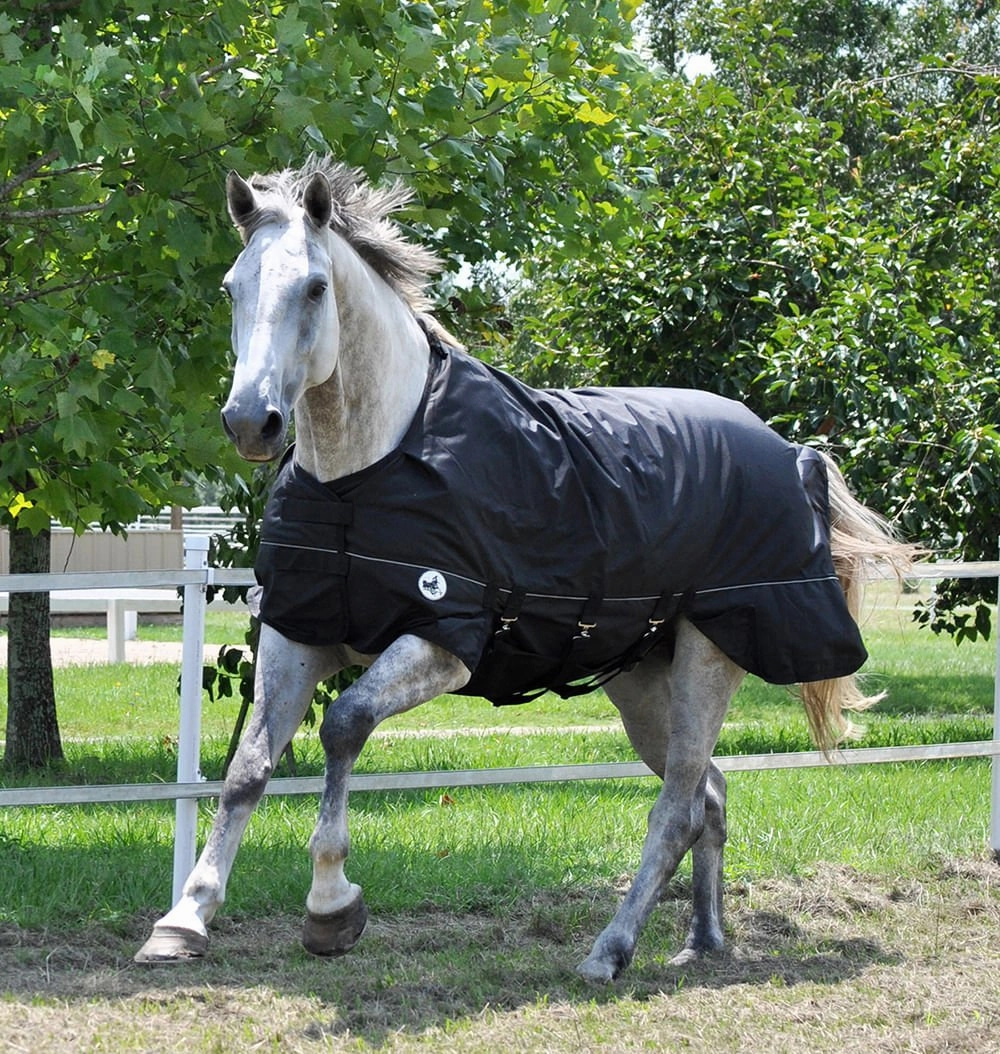 Jeffers 1680D Supreme Plus Medium Weight Turnout Blanket