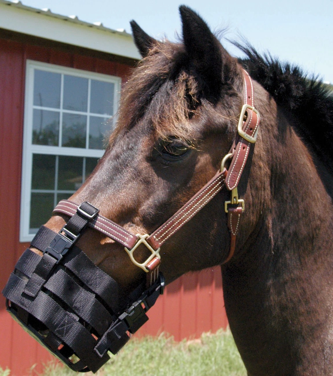 Jeffers Anti-Grazing Horse Muzzle