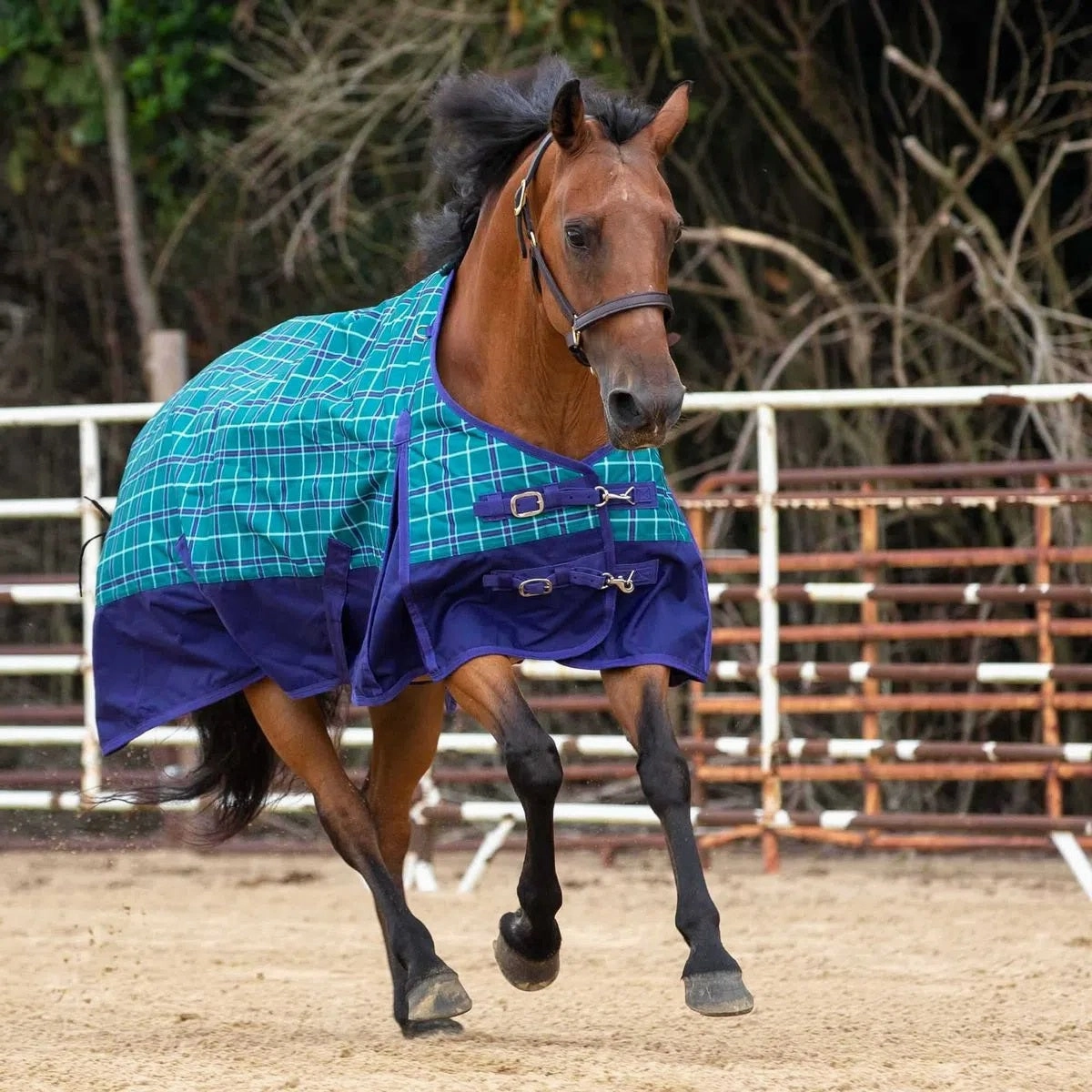 Jeffers Economy 600D Plaid Medium-Weight Horse Turnout Blanket