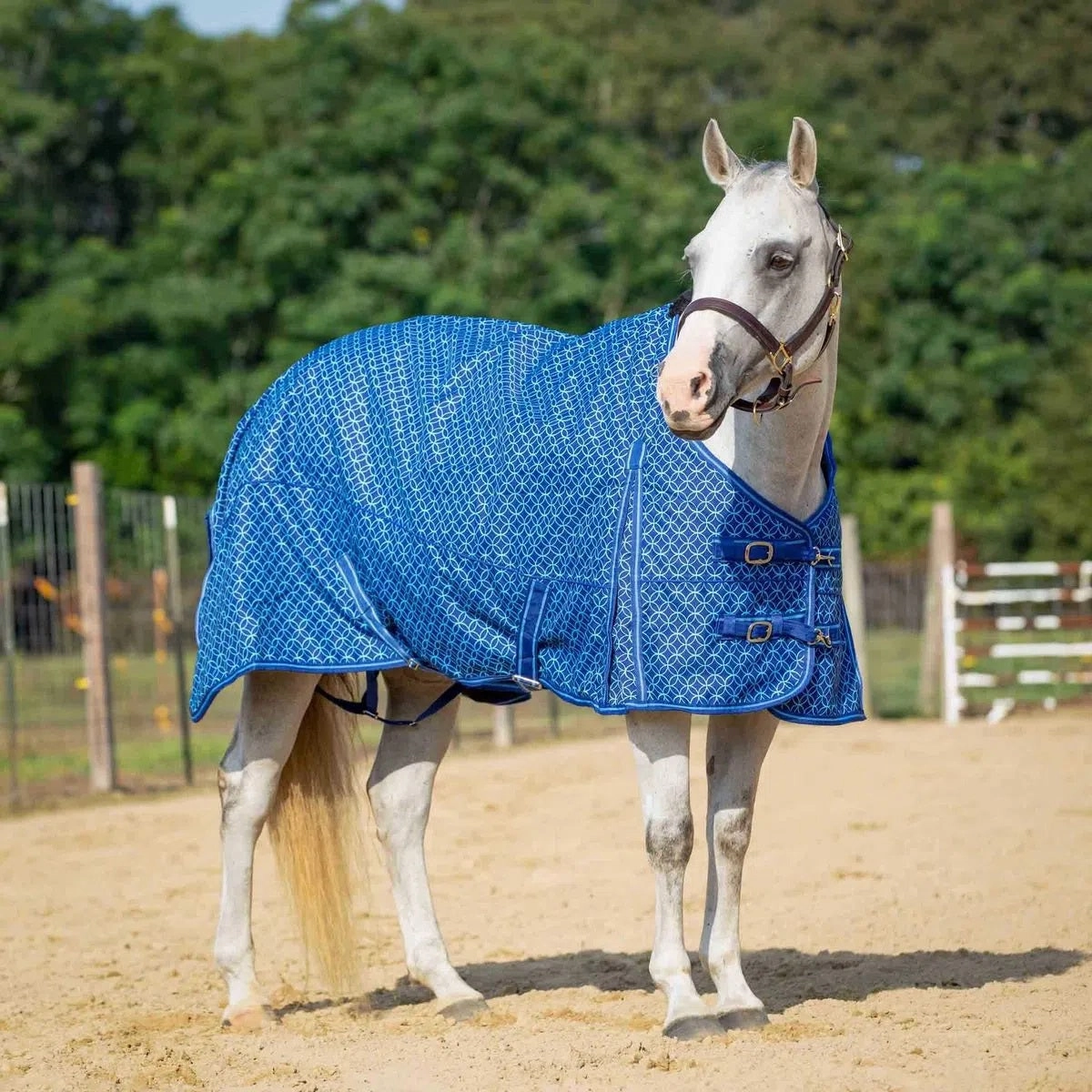 Jeffers Economy 600D Plaid Medium-Weight Horse Turnout Blanket