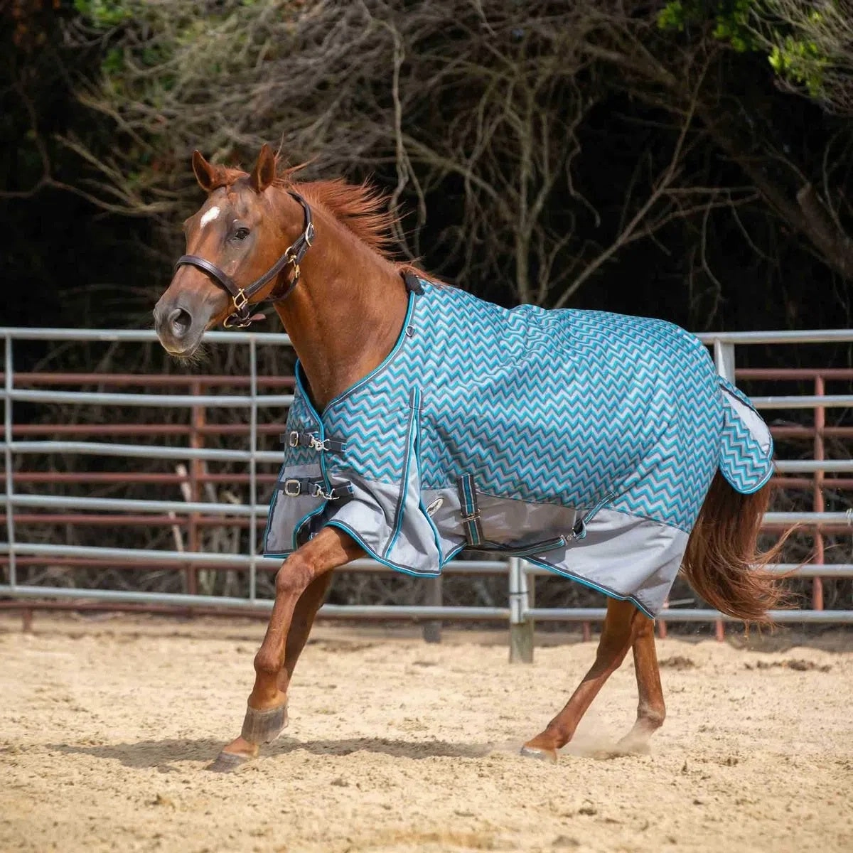 Jeffers Economy 600D Plaid Medium-Weight Horse Turnout Blanket