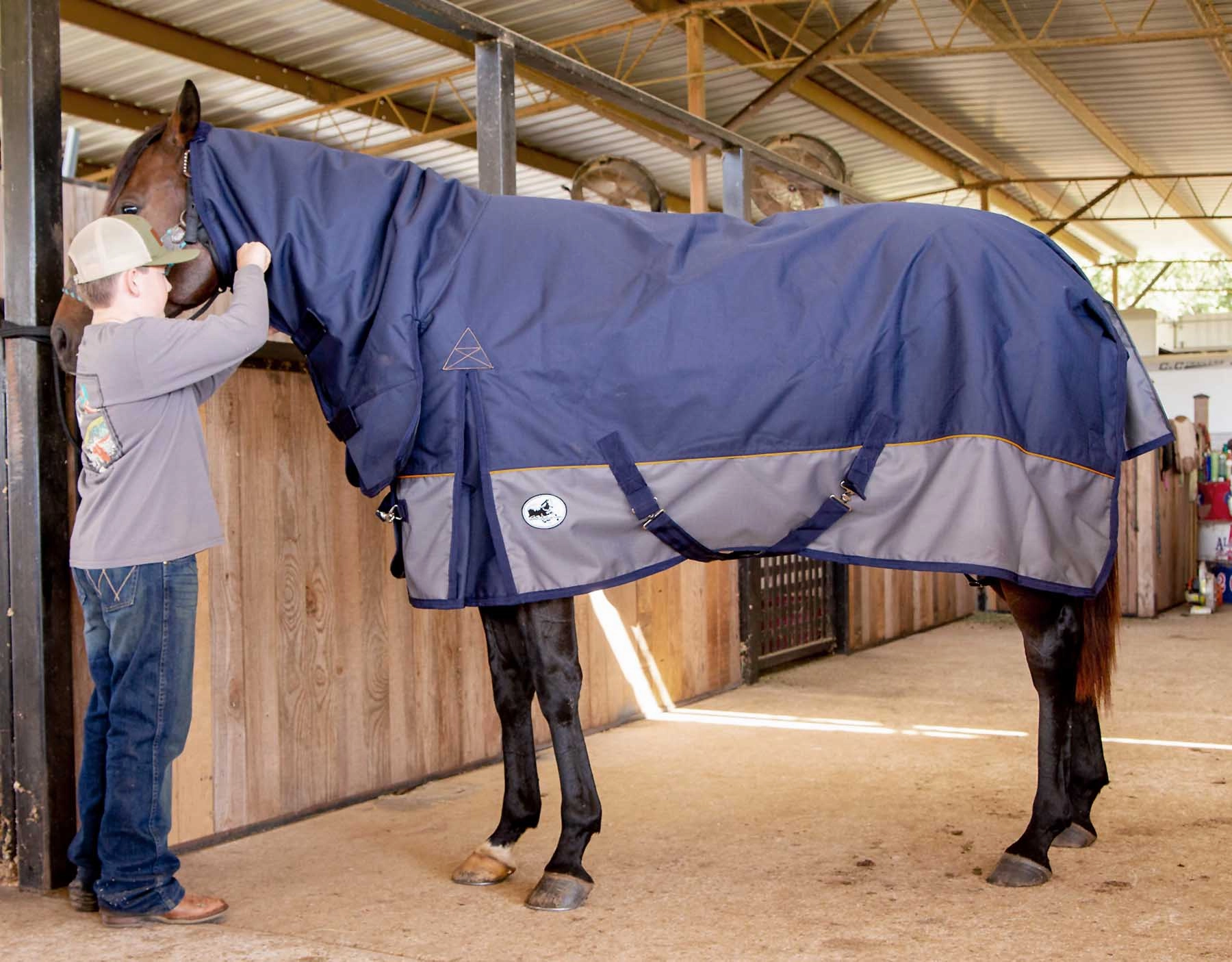 Jeffers Economy Plus 1200 Denier Combo Neck Medium Weight Horse Turnout Blanket, 240 grams