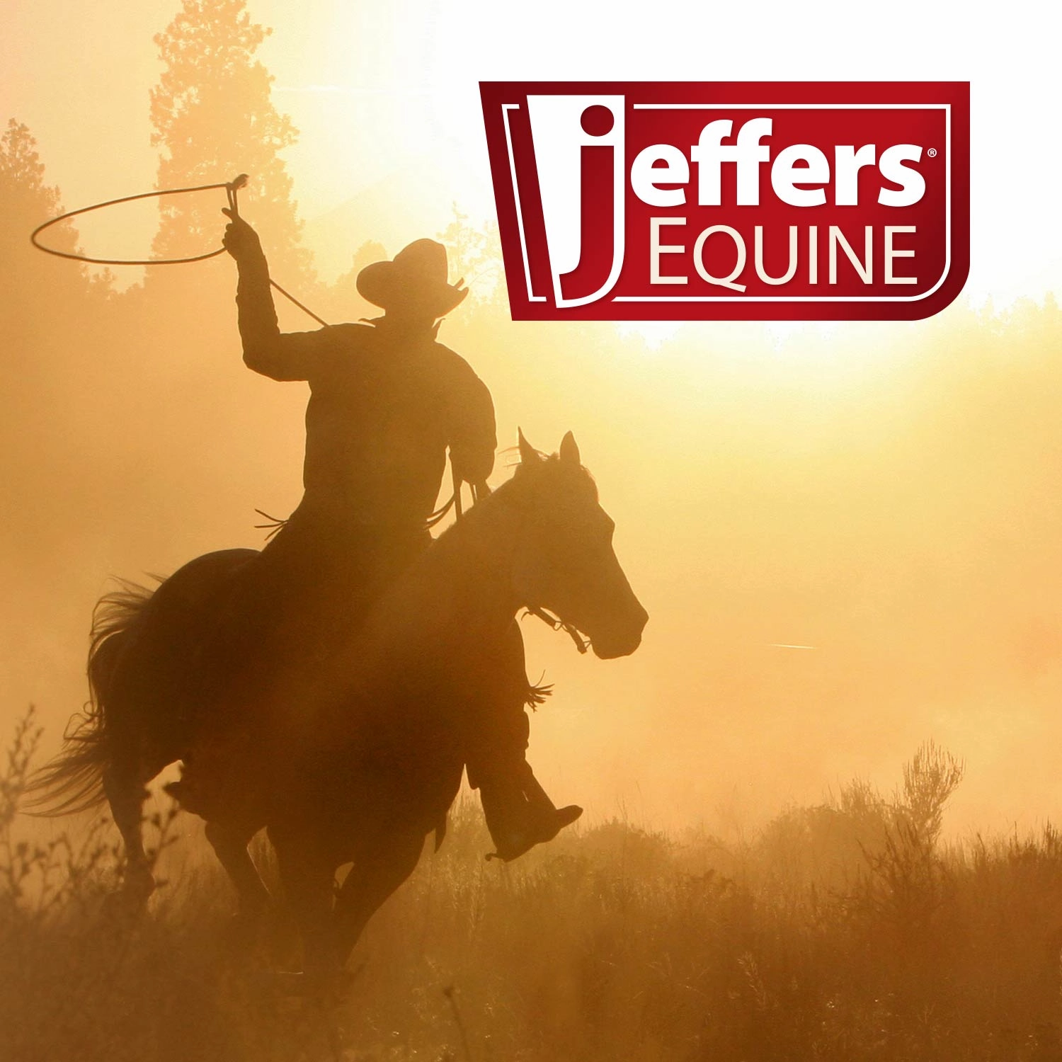 Jeffers Equine Iodine Horse Shampoo