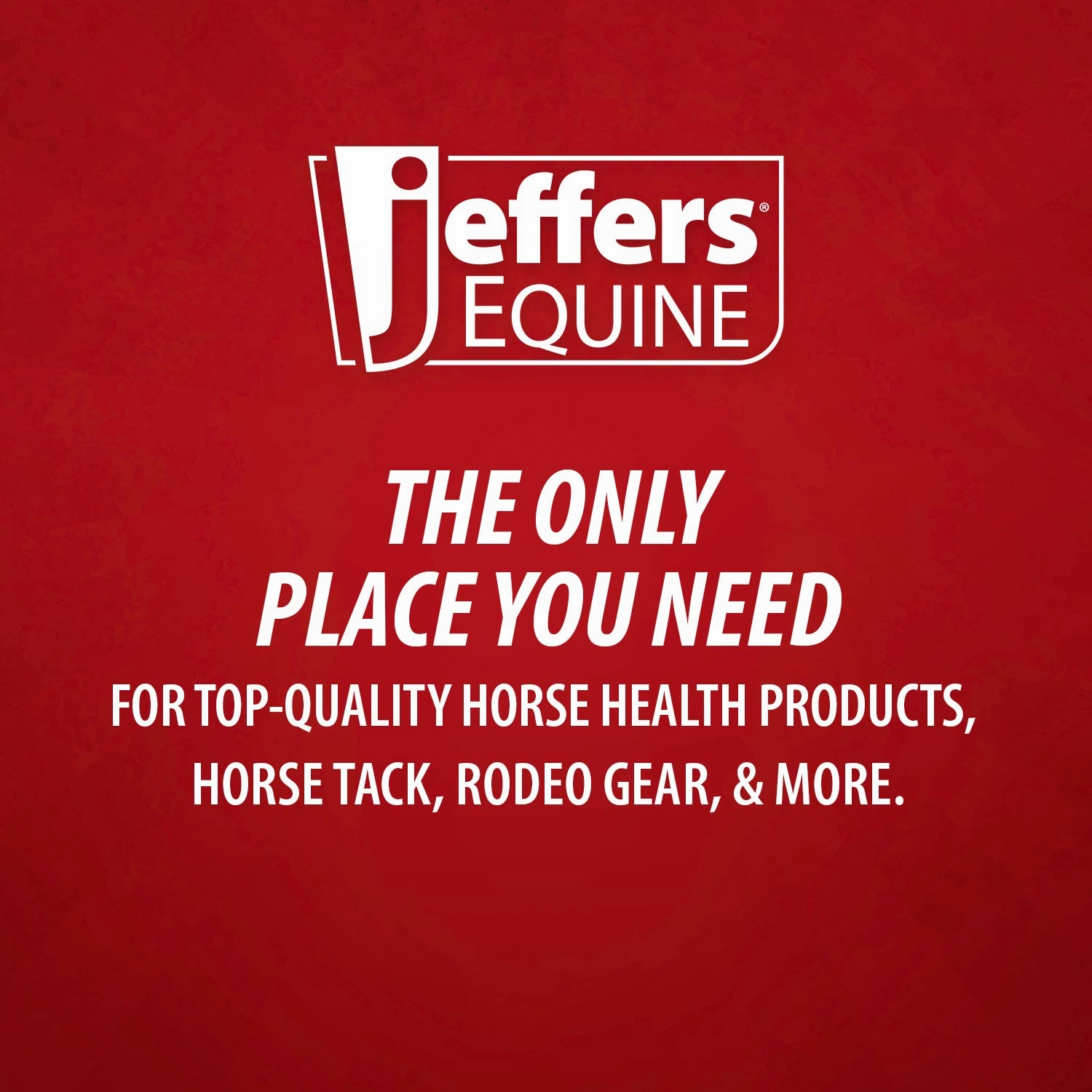 Jeffers Equine Sheath Cleaner for Horses, 16 oz