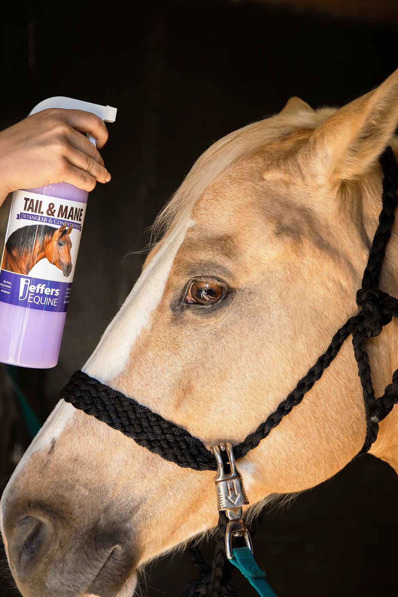 Jeffers Equine Tail & Mane Detangler and Conditioner for Horses