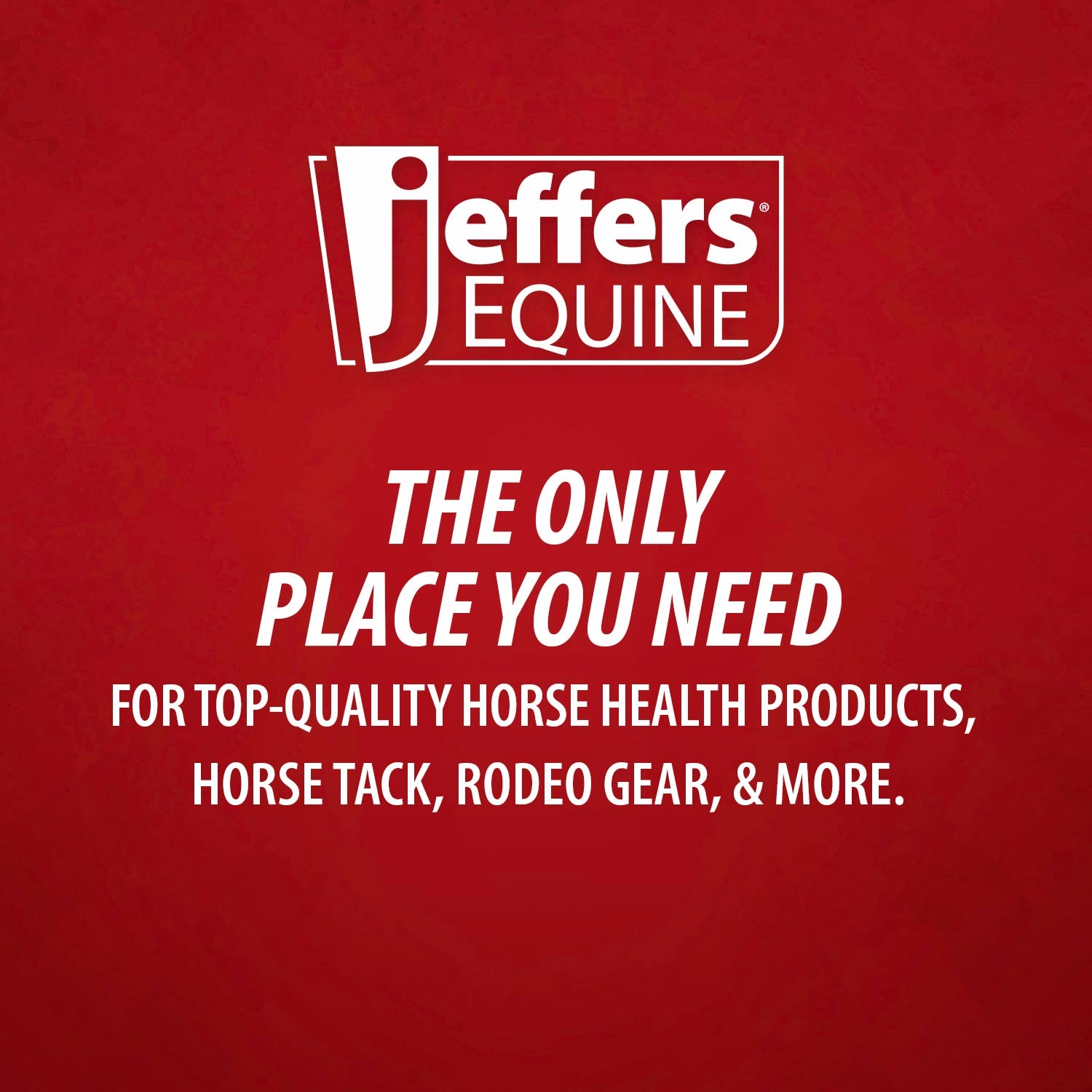 Jeffers Equine Tail & Mane Detangler and Conditioner for Horses