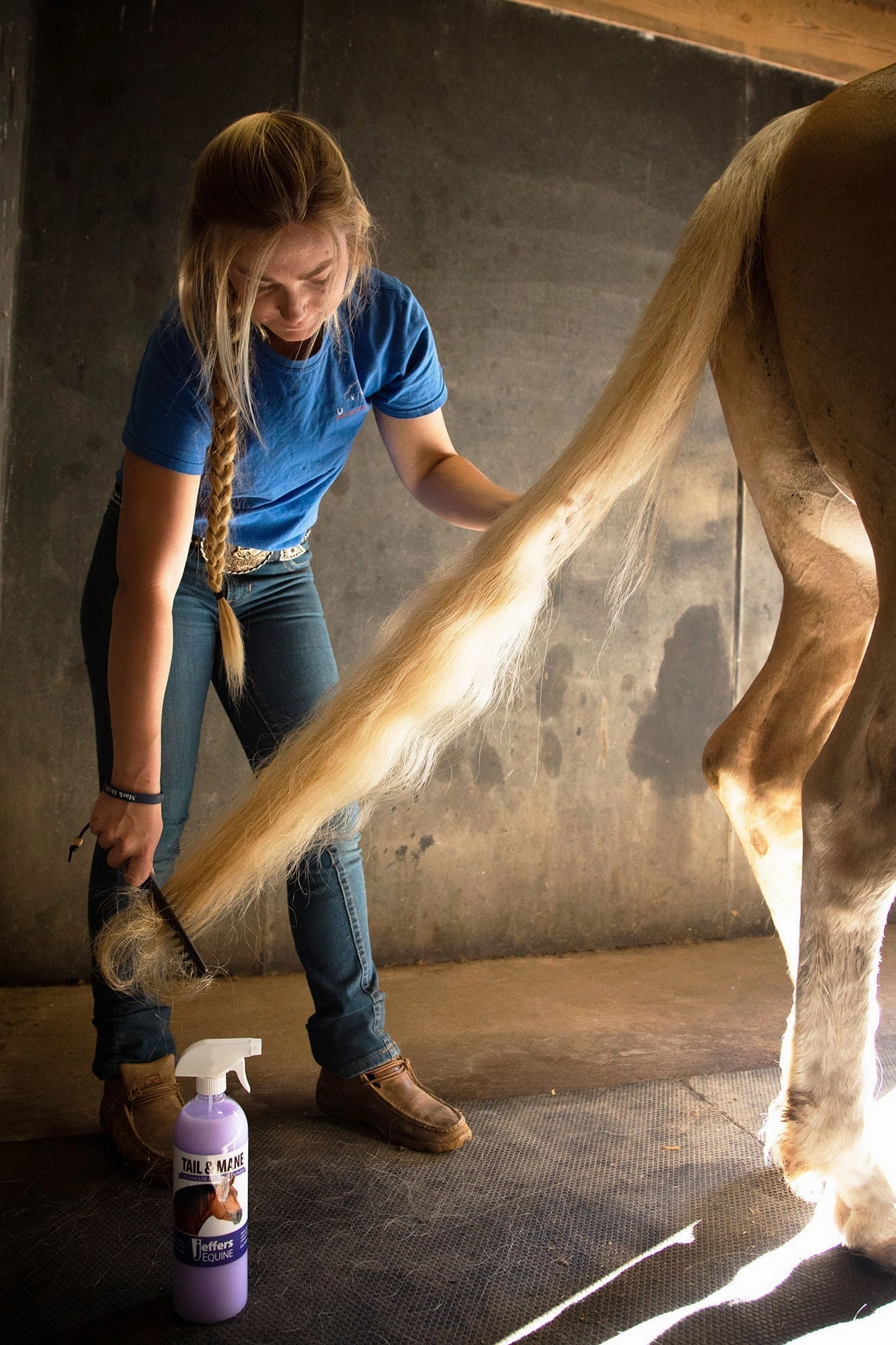 Jeffers Equine Tail & Mane Detangler and Conditioner for Horses