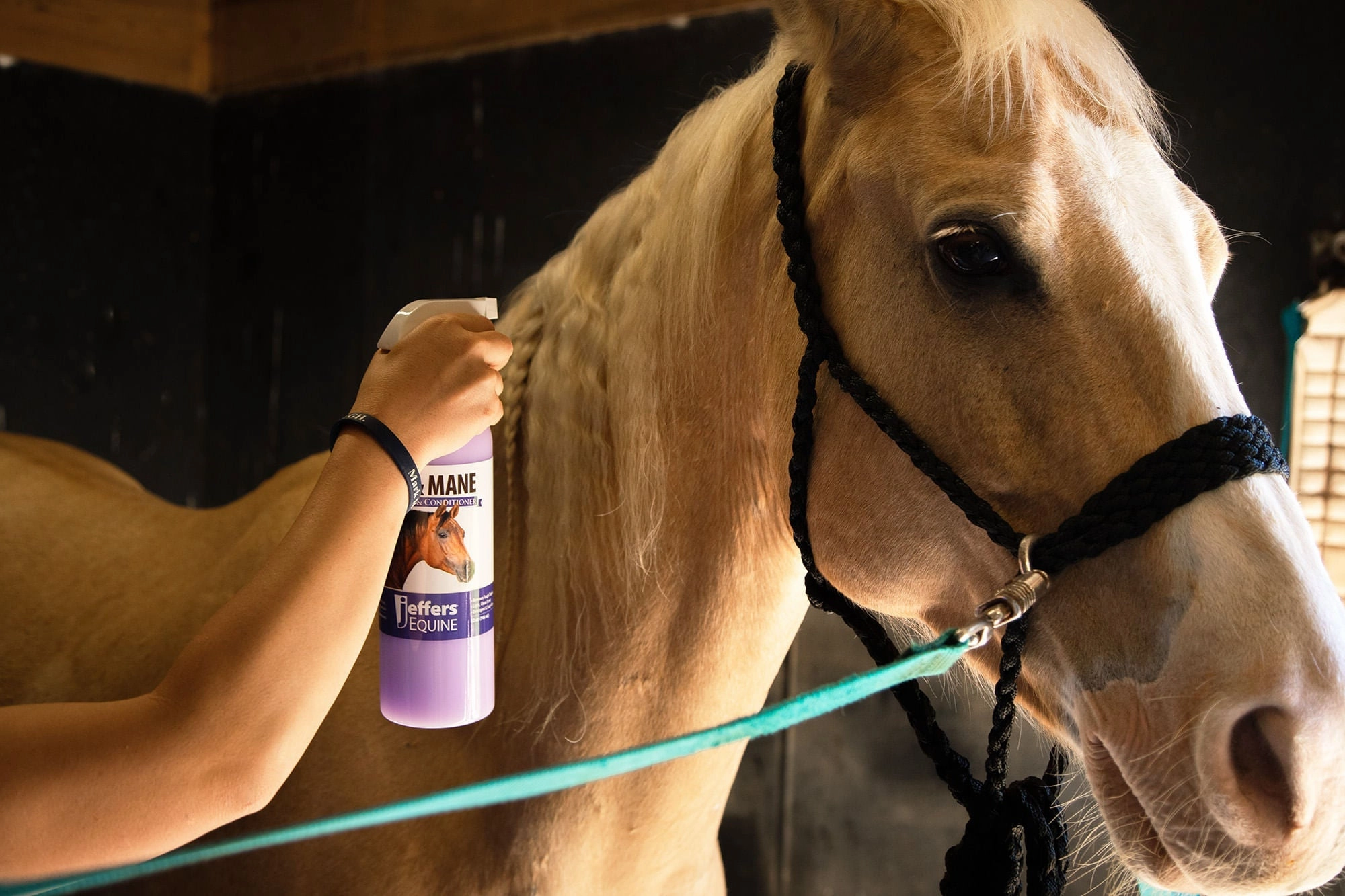 Jeffers Equine Tail & Mane Detangler and Conditioner for Horses