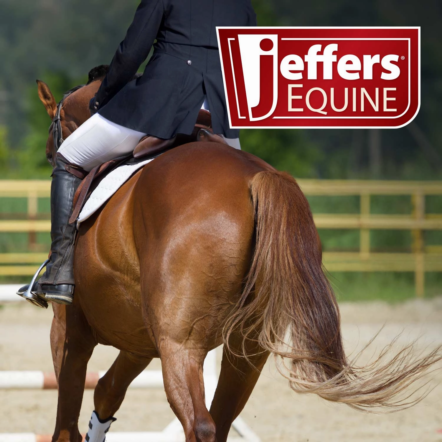 Jeffers Equine Tail & Mane Detangler and Conditioner for Horses