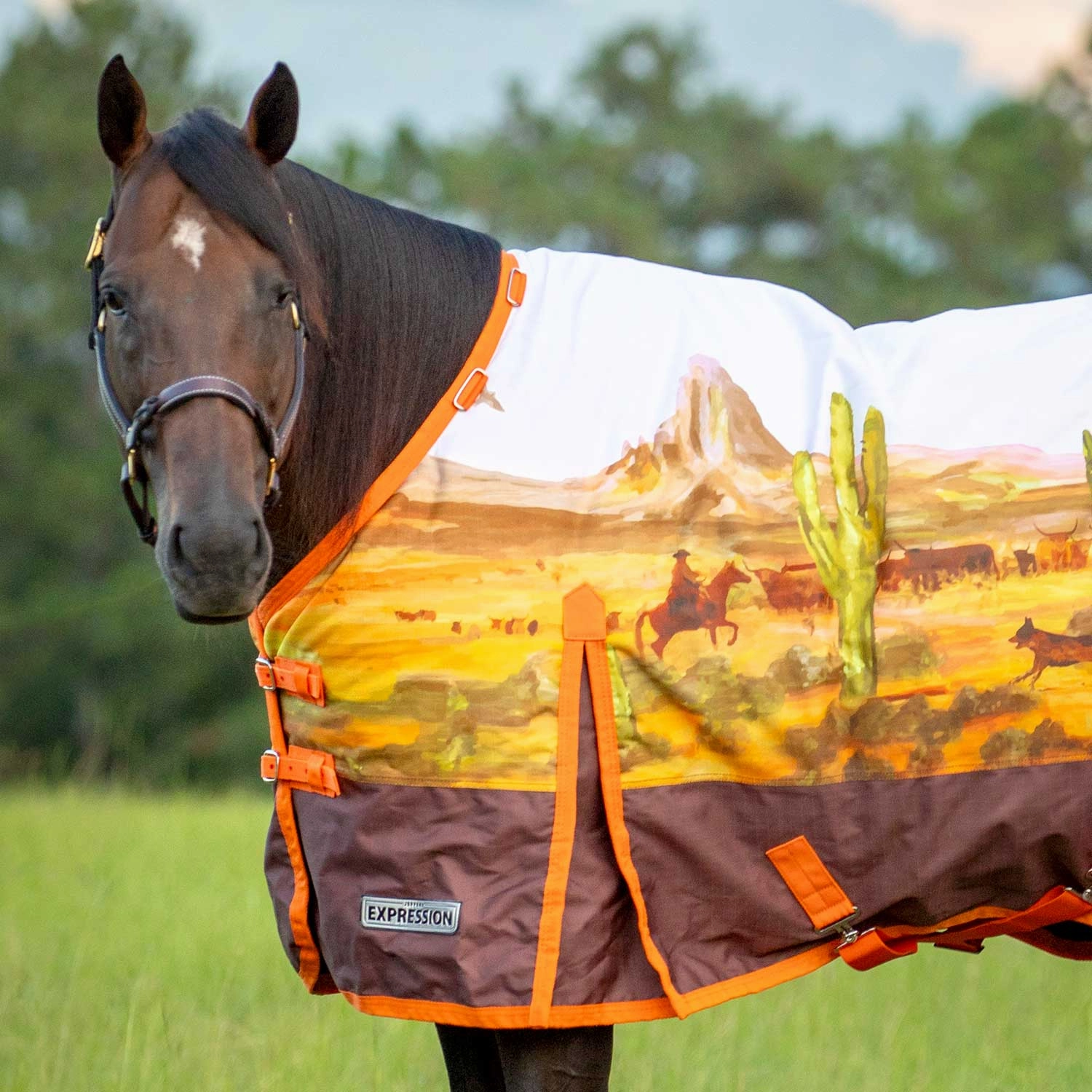 Jeffers Expression 1200 Denier Standard Neck Turnout Horse Blanket, 240 Gram
