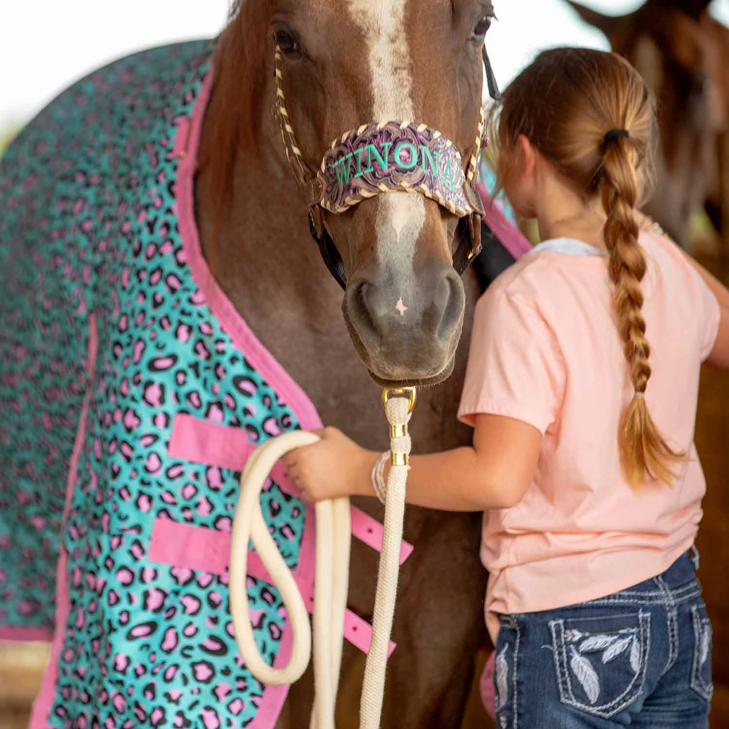 Jeffers Expression 1200 Denier Standard Neck Turnout Horse Blanket, 240 Gram