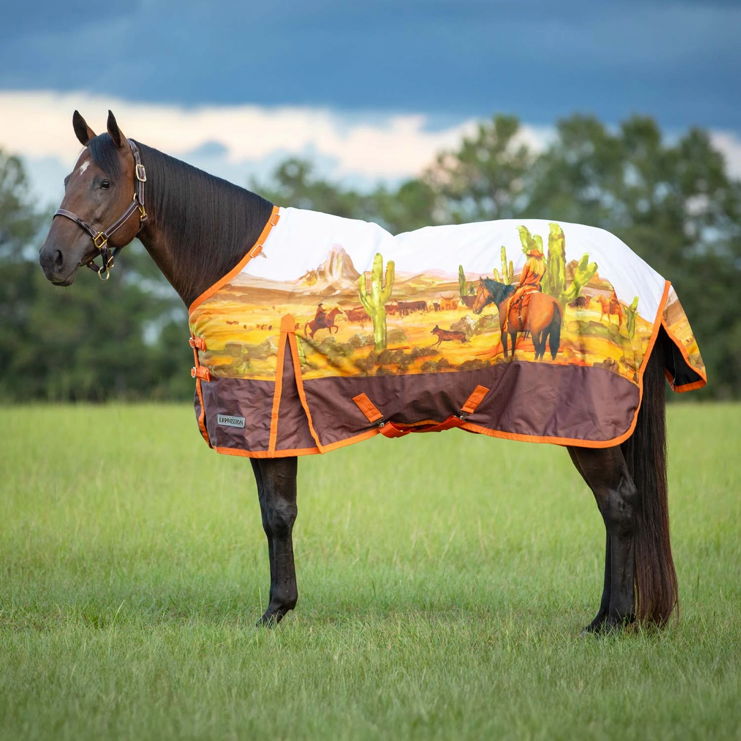 Jeffers Expression 1200 Denier Standard Neck Turnout Horse Blanket, 240 Gram