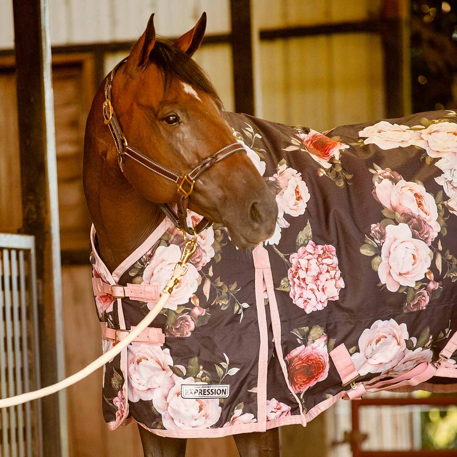 Jeffers Expression 1200 Denier Standard Neck Turnout Horse Blanket, 240 Gram