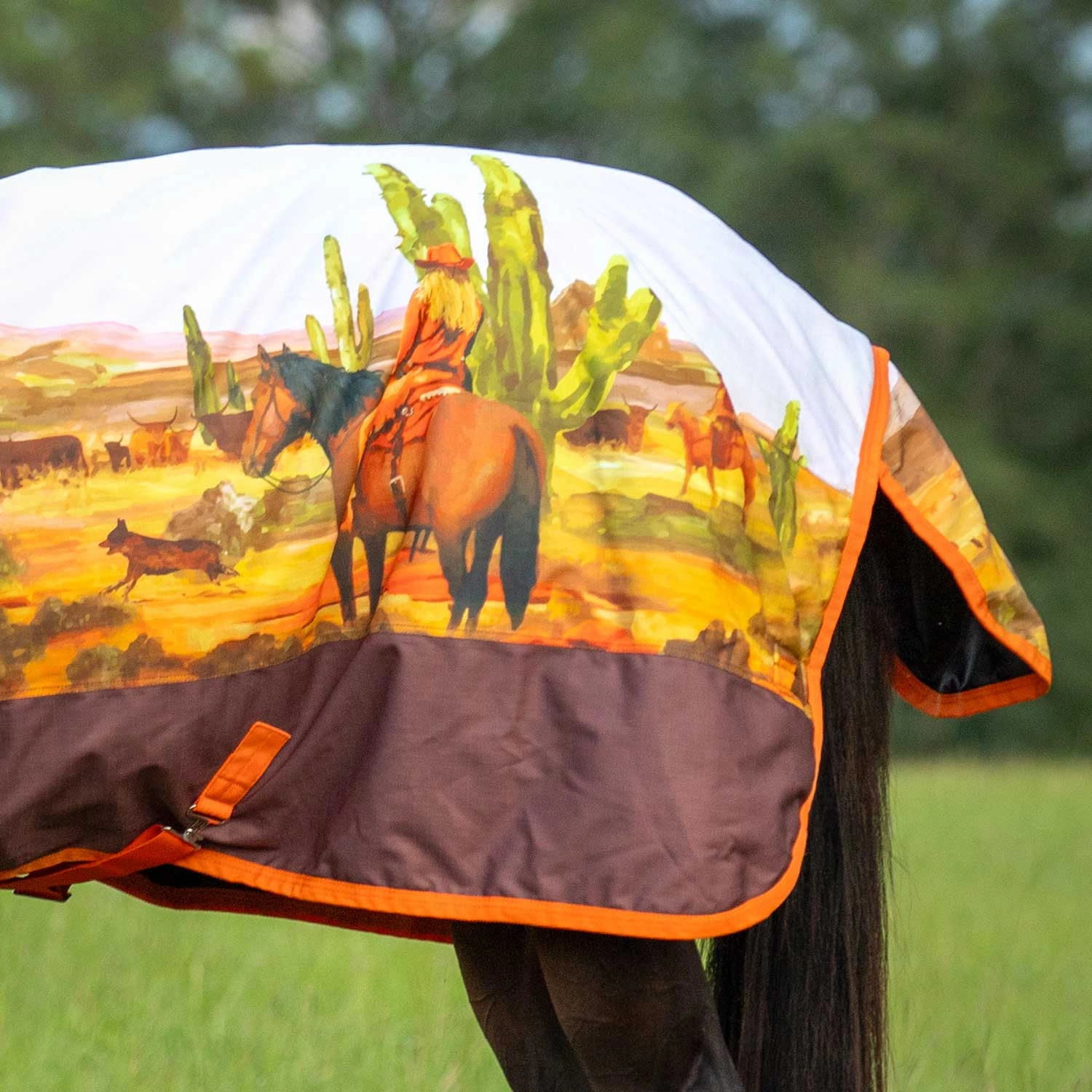 Jeffers Expression 1200 Denier Standard Neck Turnout Horse Blanket, 240 Gram