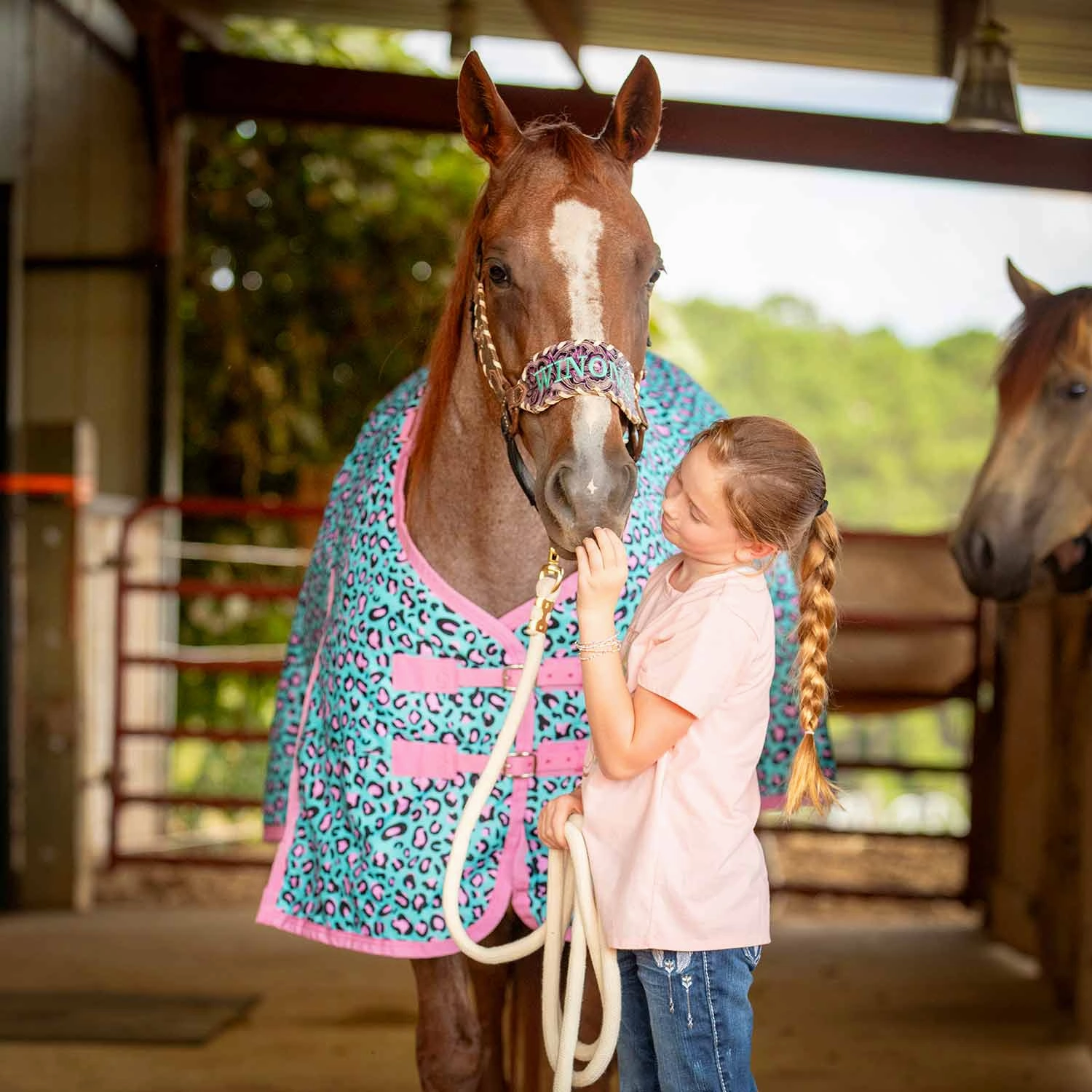 Jeffers Expression 1200 Denier Standard Neck Turnout Horse Blanket, 240 Gram