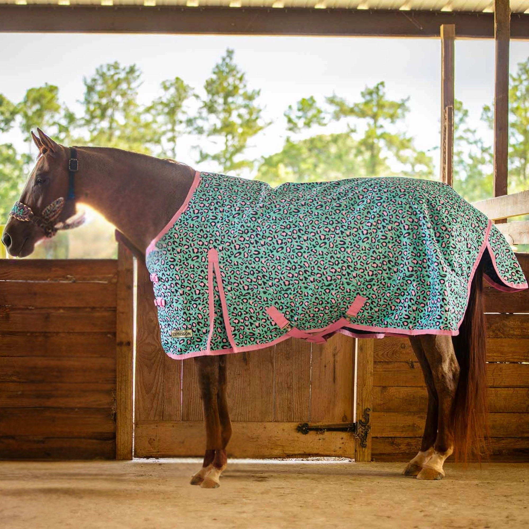 Jeffers Expression 1200 Denier Standard Neck Turnout Sheet, 0 Gram