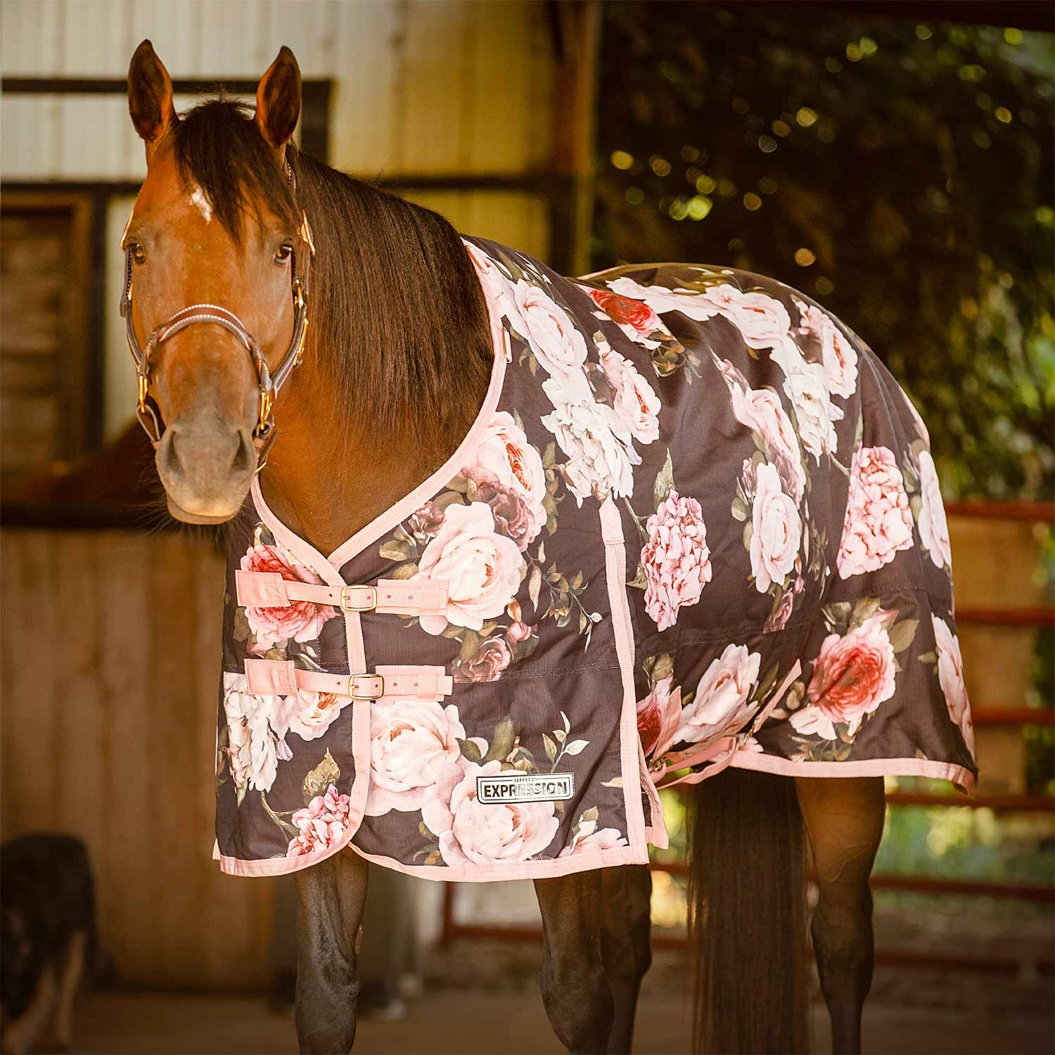 Jeffers Expression 1200 Denier Standard Neck Turnout Sheet, 0 Gram