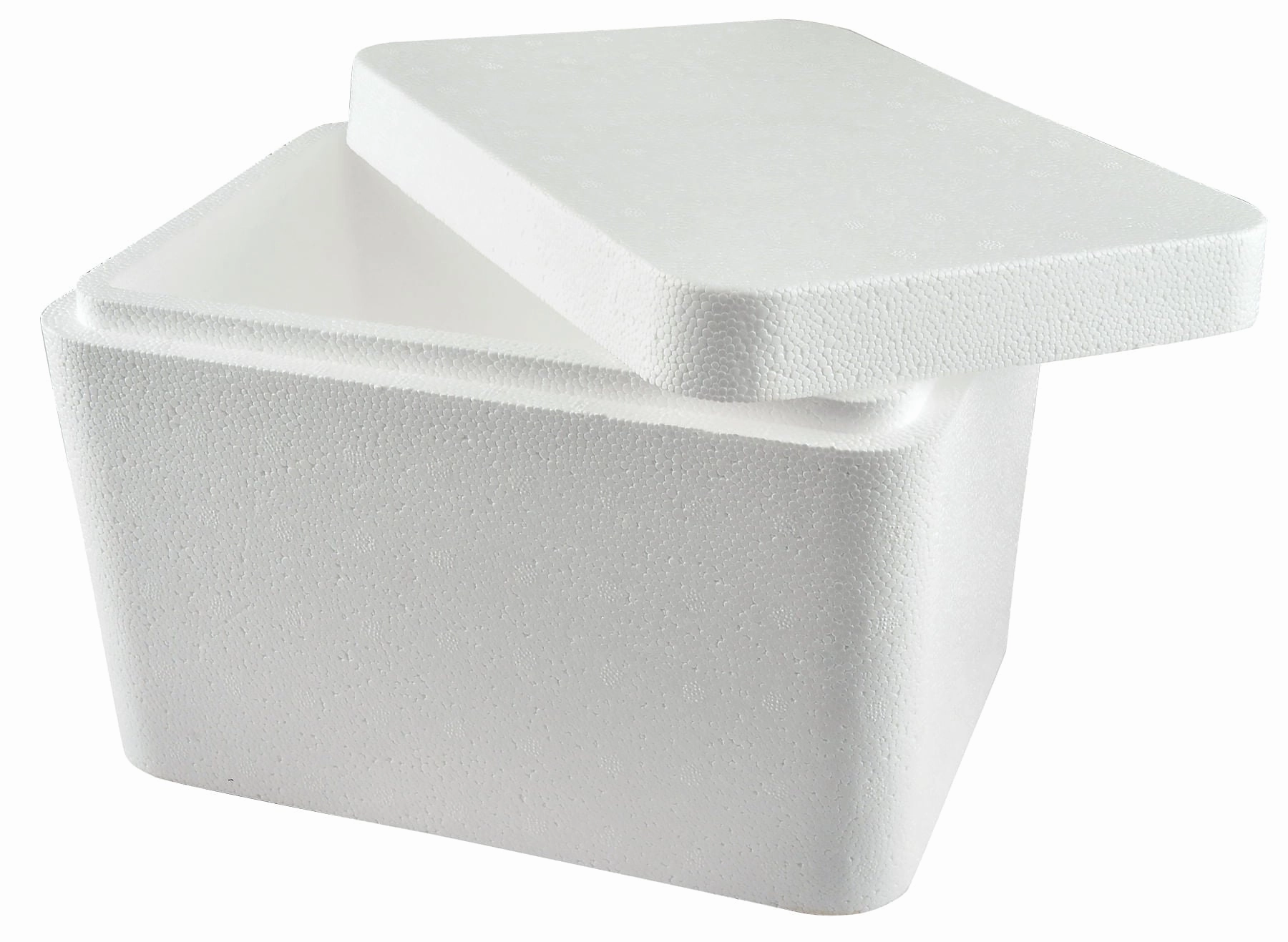 Jeffers Foam Cooler for Vaccines