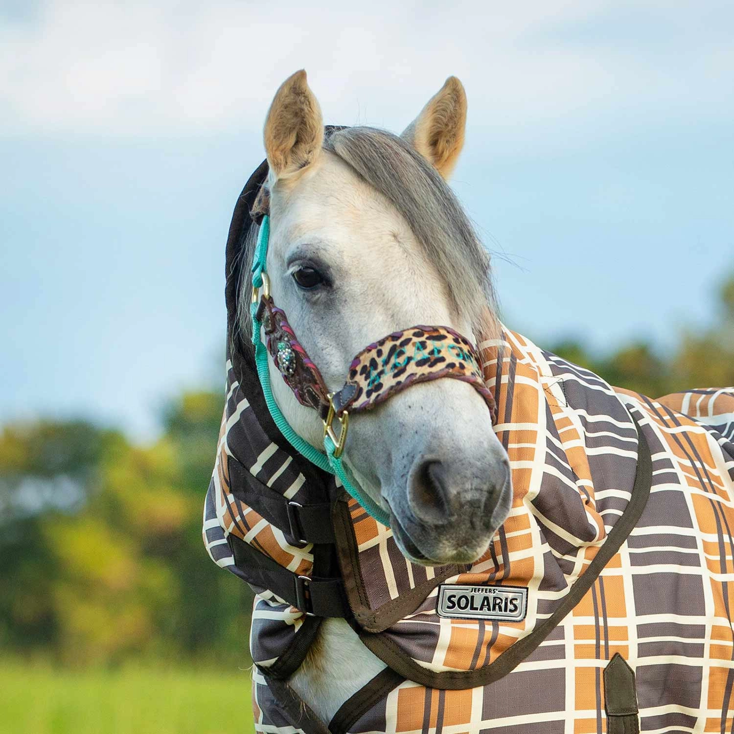 Jeffers Pony Poppins Solaris Horse Neck Rug, 1200 Denier / 240g Fill, Brown & Cream Plaid