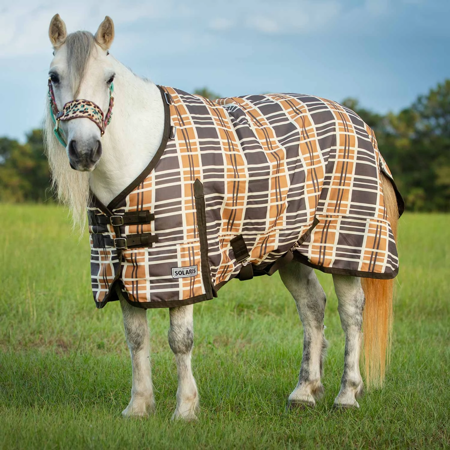 Jeffers Pony Poppins Solaris Pony Horse Turnout Blanket, Brown & Cream Plaid