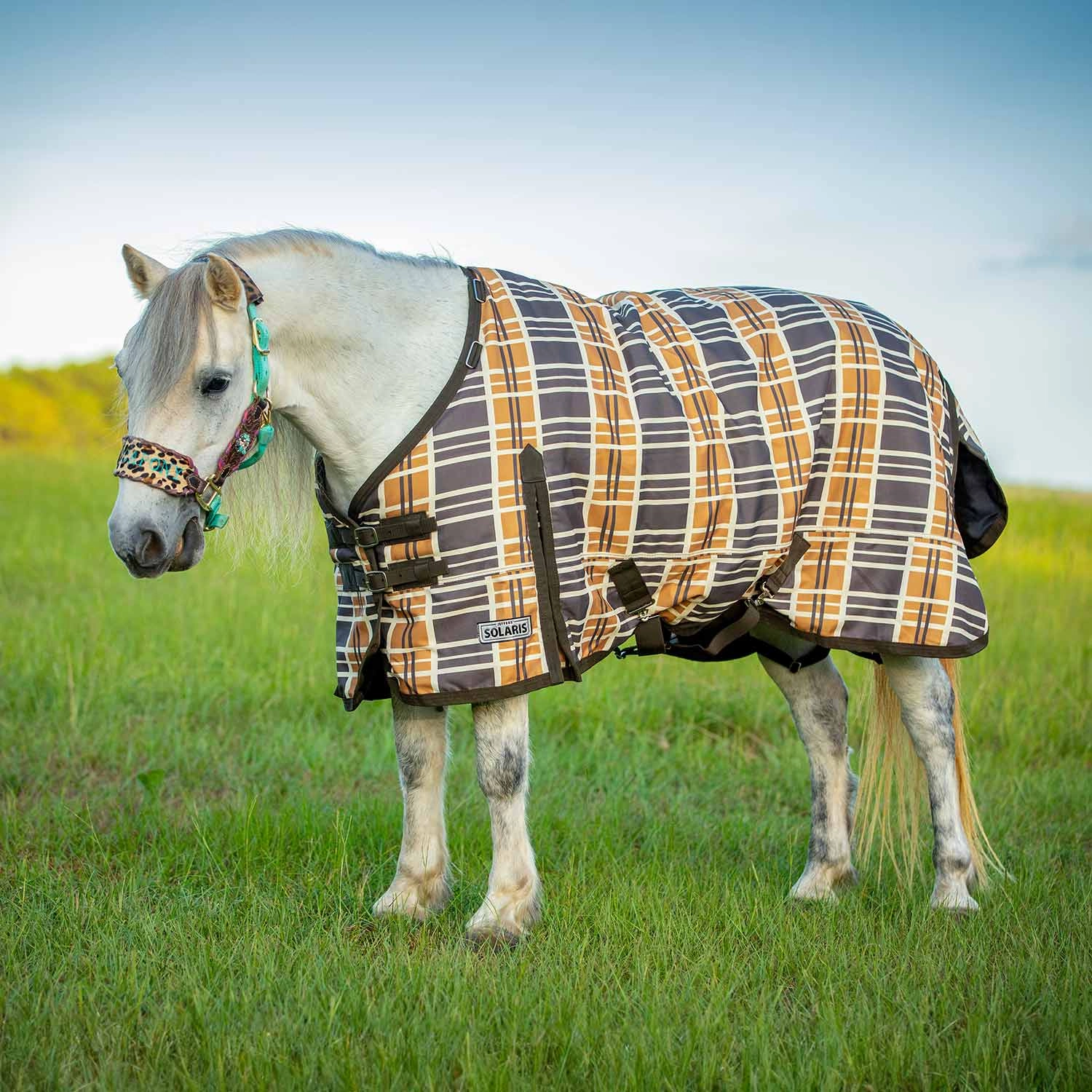 Jeffers Pony Poppins Solaris Pony Horse Turnout Blanket, Brown & Cream Plaid