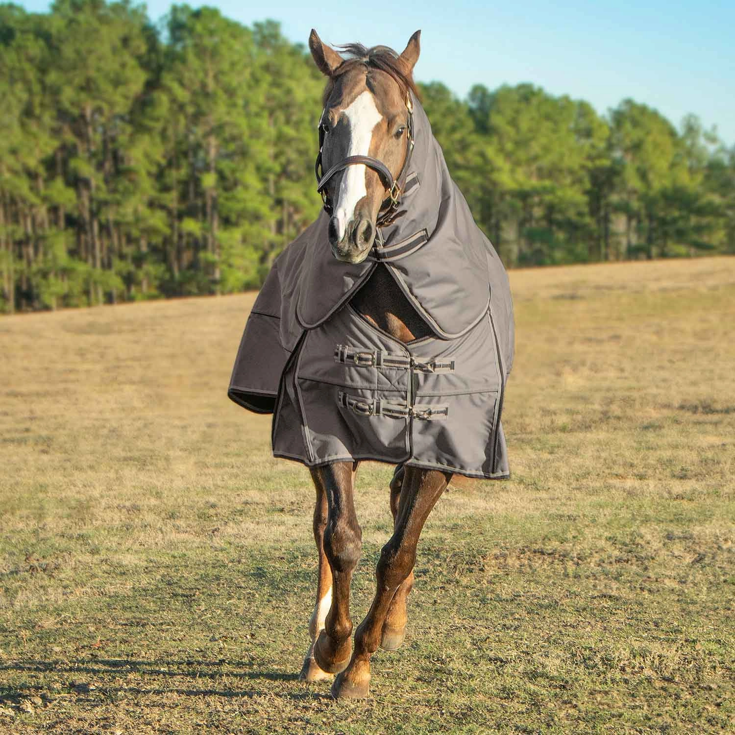 Jeffers Poplar Head Defense 1680 Denier Turnout Blanket with Detachable Neck, 240 Gram, Plymouth Brown