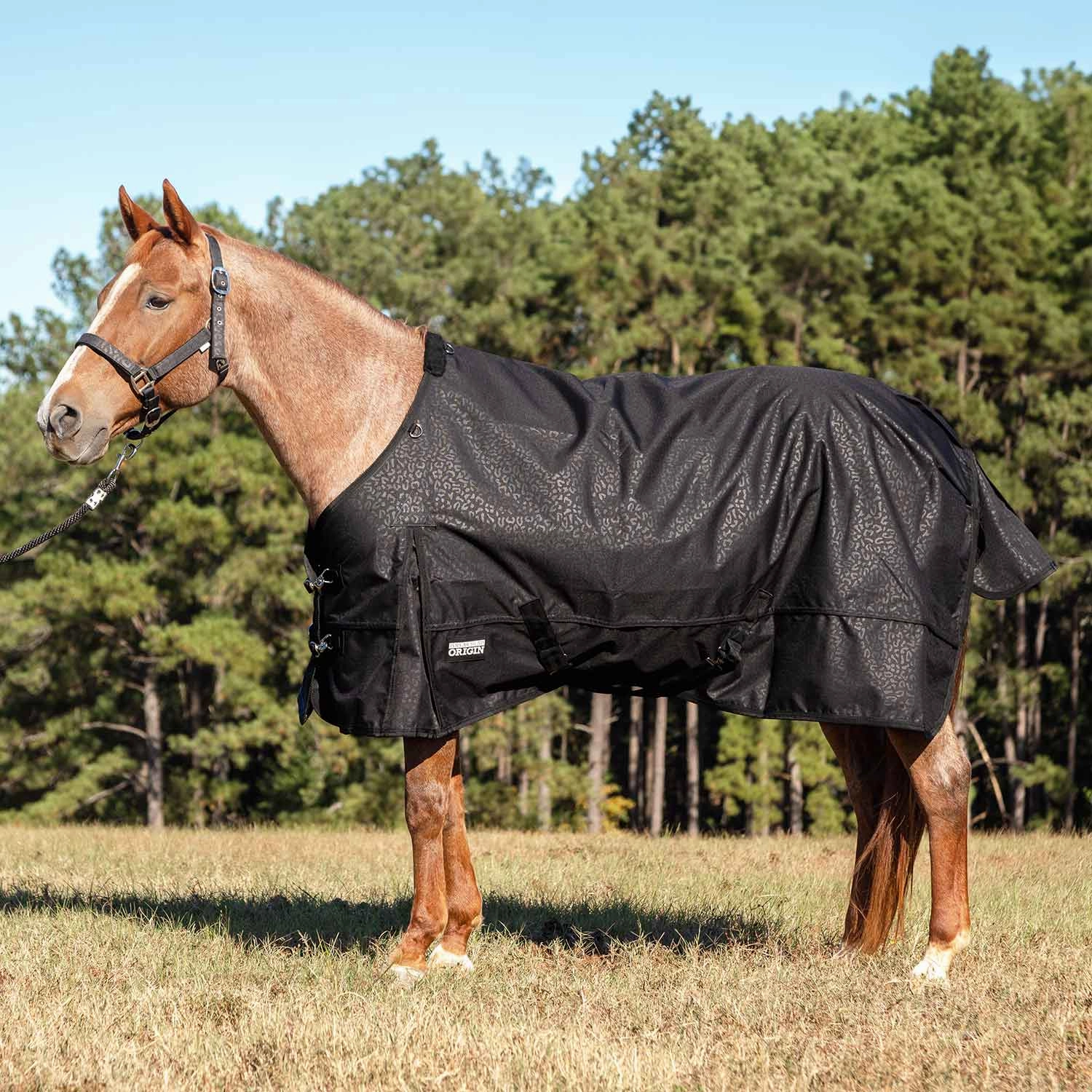 Jeffers Poplar Head Origin 600 Denier Turnout Blanket, 240 Gram, Covert Cheetah