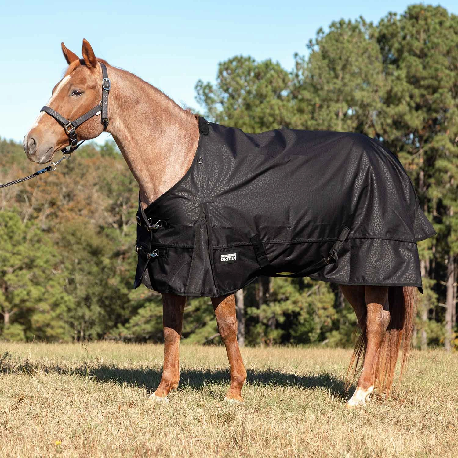 Jeffers Poplar Head Origin 600 Denier Turnout Blanket, 240 Gram, Covert Cheetah