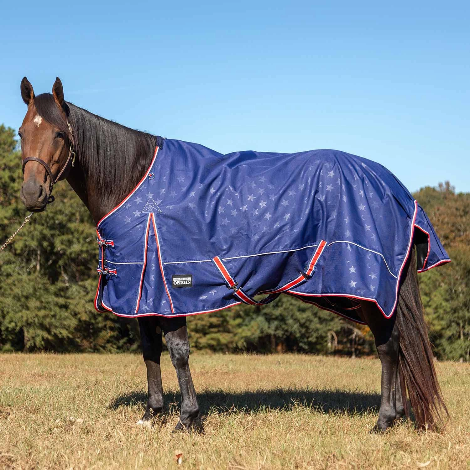 Jeffers Poplar Head Origin 600 Denier Turnout Sheet, 0 Gram, Allegiance