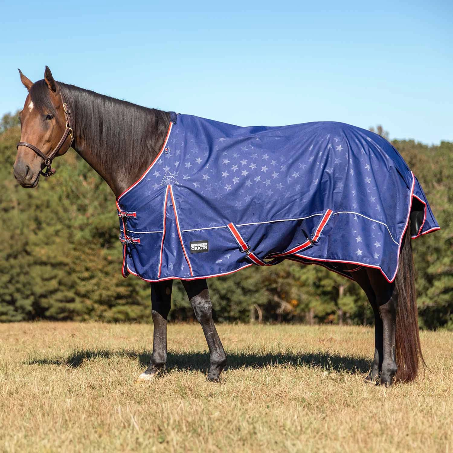 Jeffers Poplar Head Origin 600 Denier Turnout Sheet, 0 Gram, Allegiance