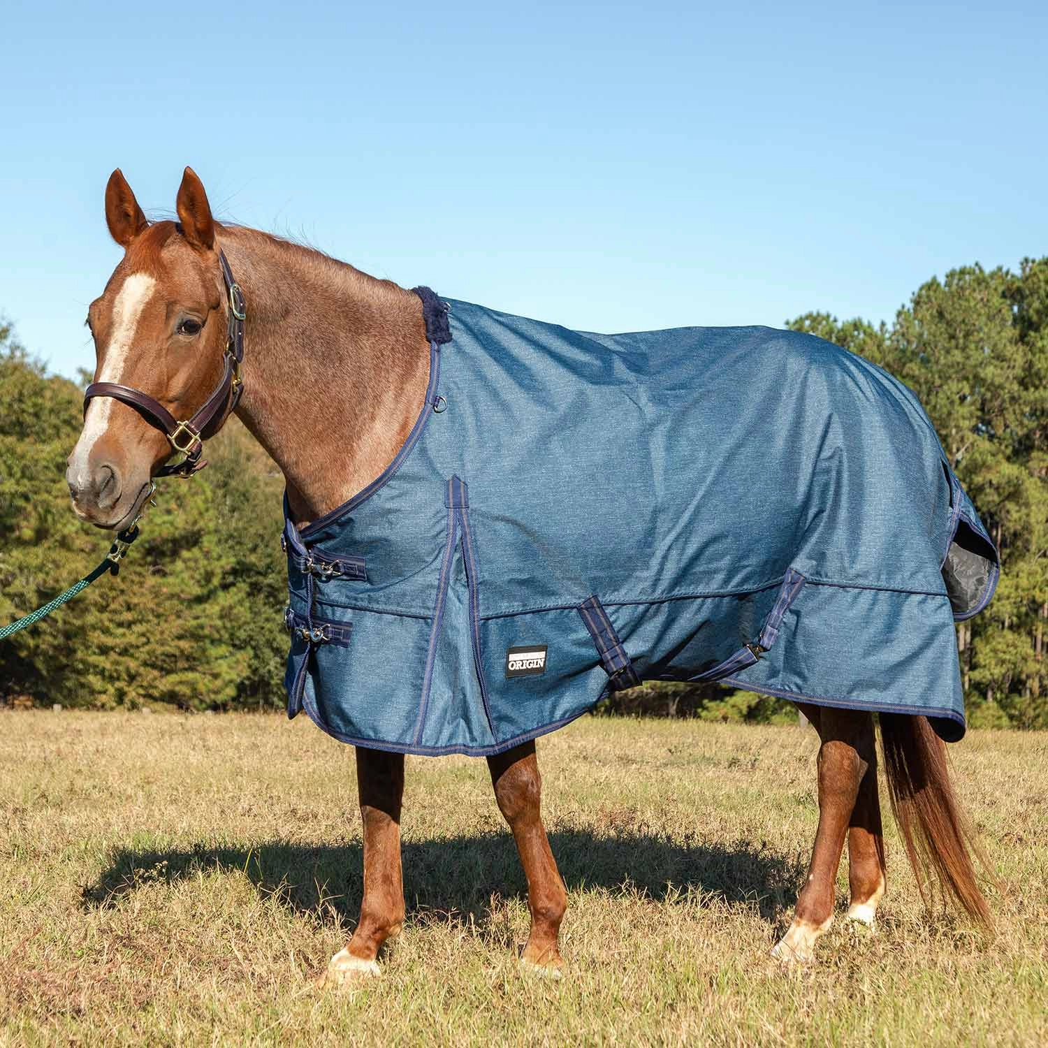 Jeffers Poplar Head Origin 600 Denier Turnout Sheet, 0 Gram, Blue Jean Baby