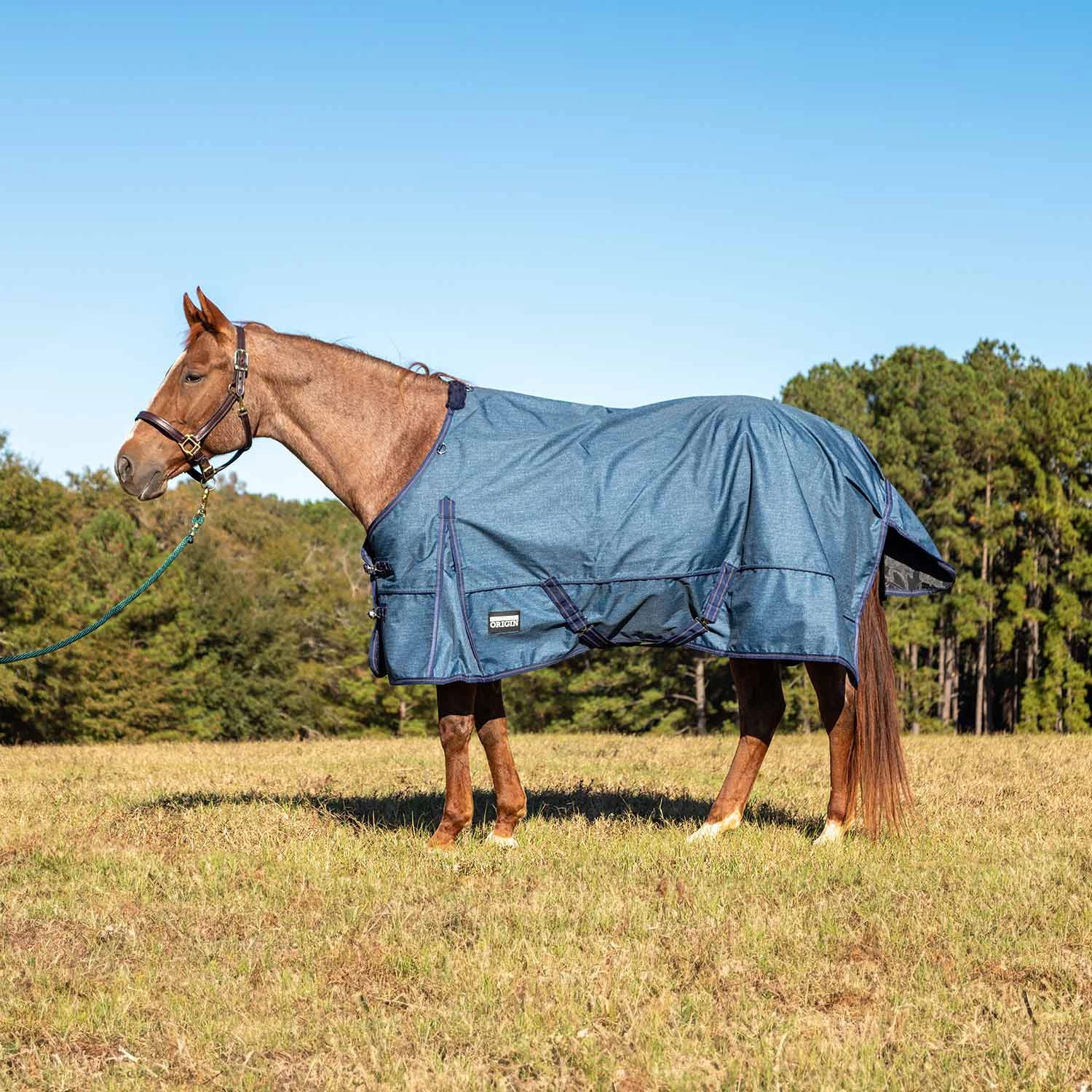 Jeffers Poplar Head Origin 600 Denier Turnout Sheet, 0 Gram, Blue Jean Baby