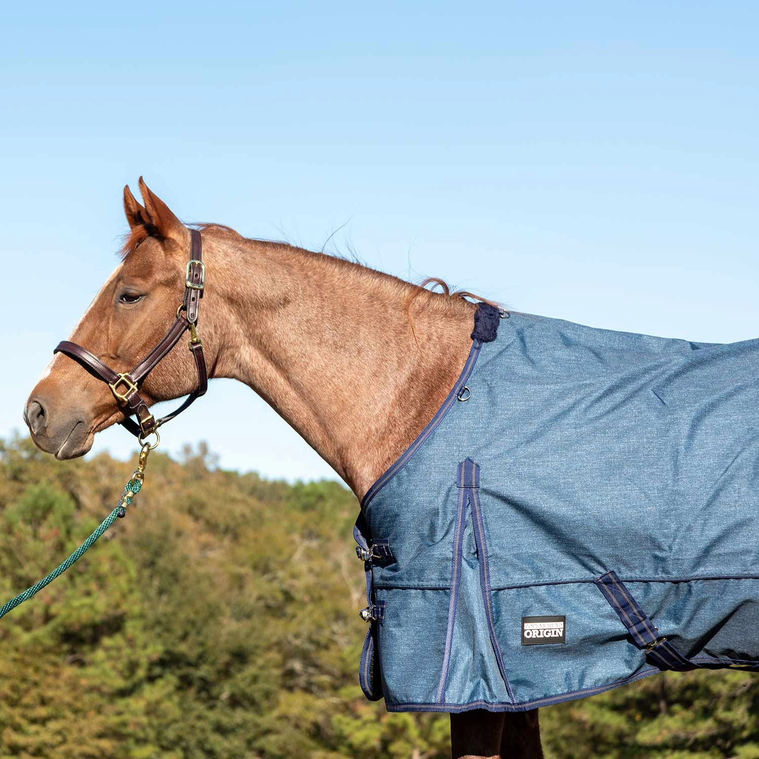 Jeffers Poplar Head Origin 600 Denier Turnout Sheet, 0 Gram, Blue Jean Baby