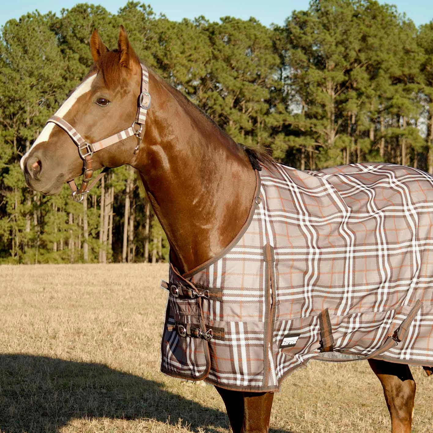 Jeffers Poplar Head Refuge 1200 Denier Turnout Blanket, 240 Gram, Plymouth Brown Plaid