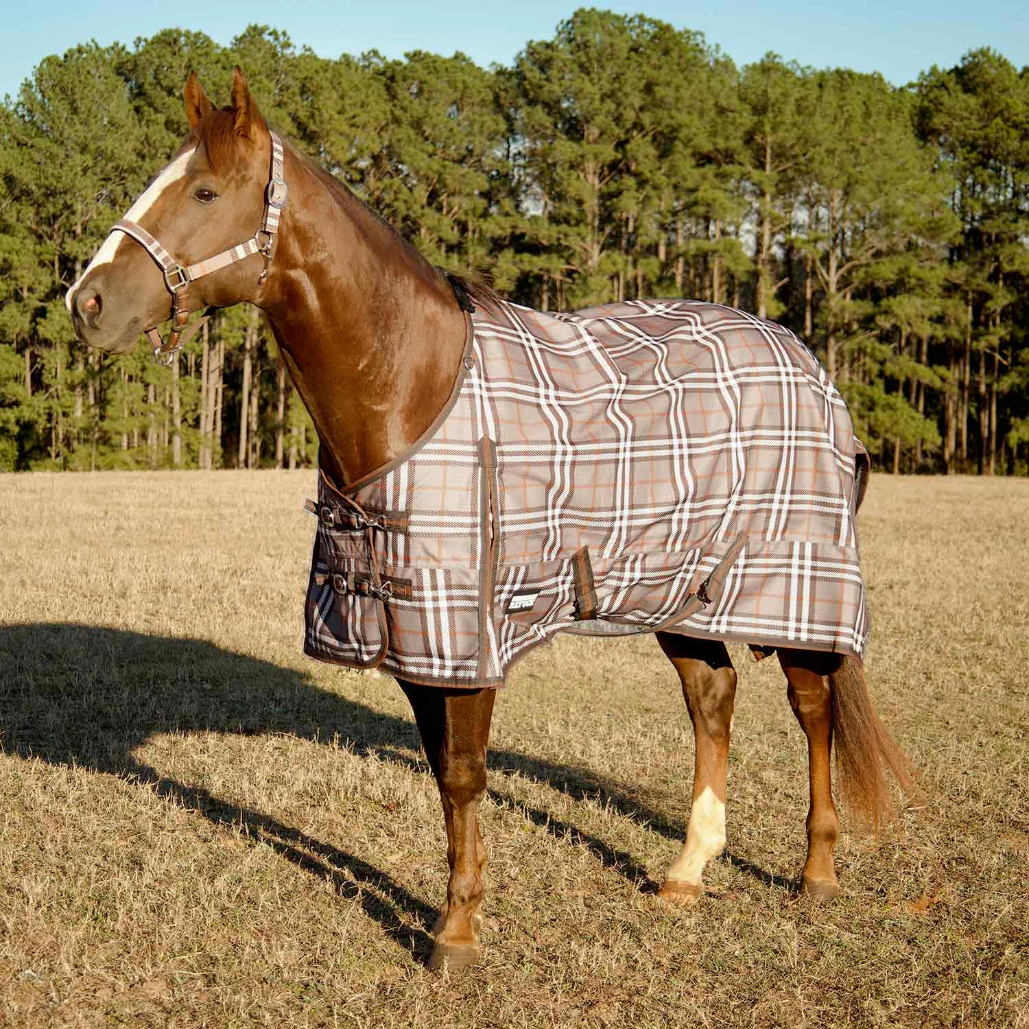 Jeffers Poplar Head Refuge 1200 Denier Turnout Blanket, 240 Gram, Plymouth Brown Plaid