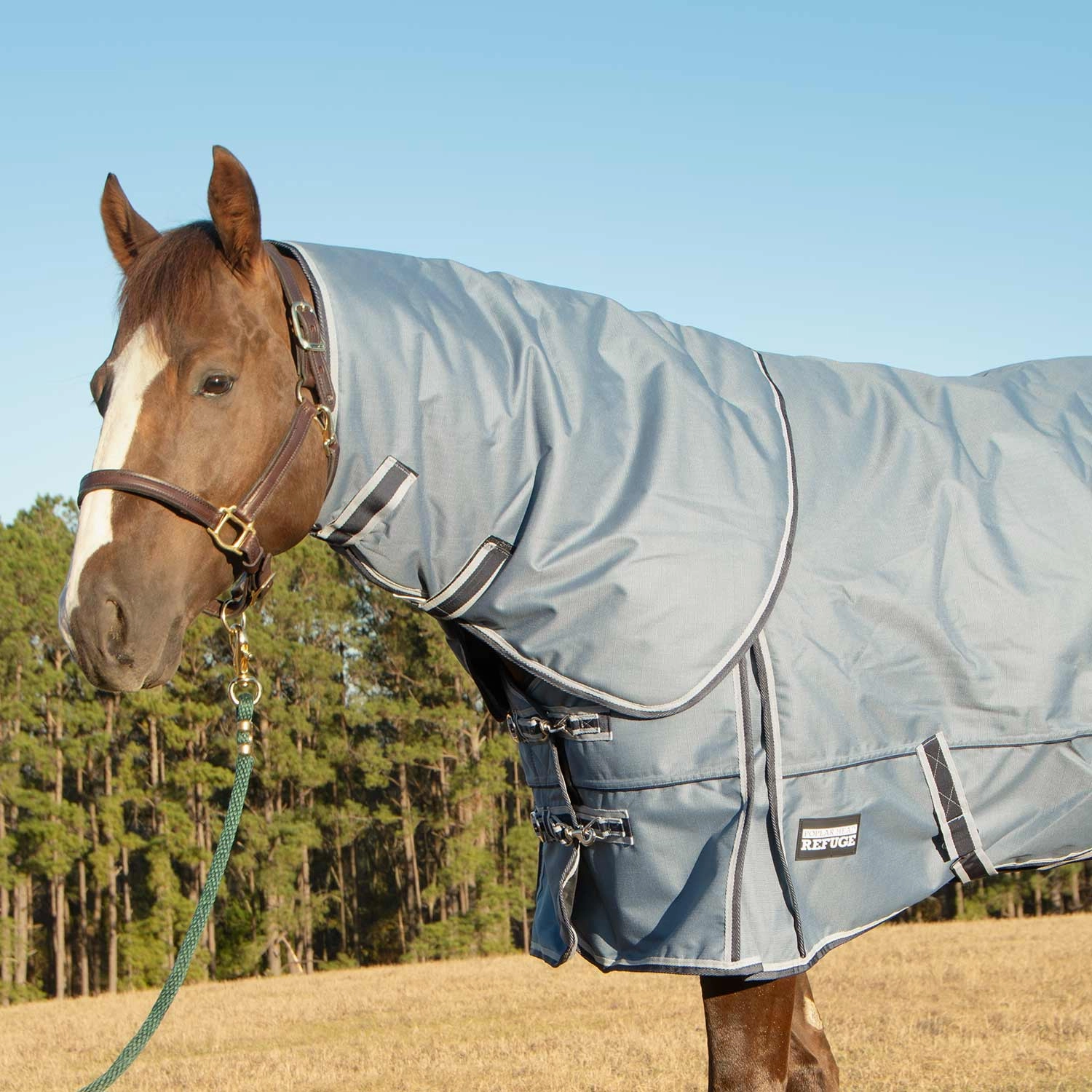 Jeffers Poplar Head Refuge 1200 Denier Turnout Blanket with Detachable Neck, 240 Gram, Hamilton Blue