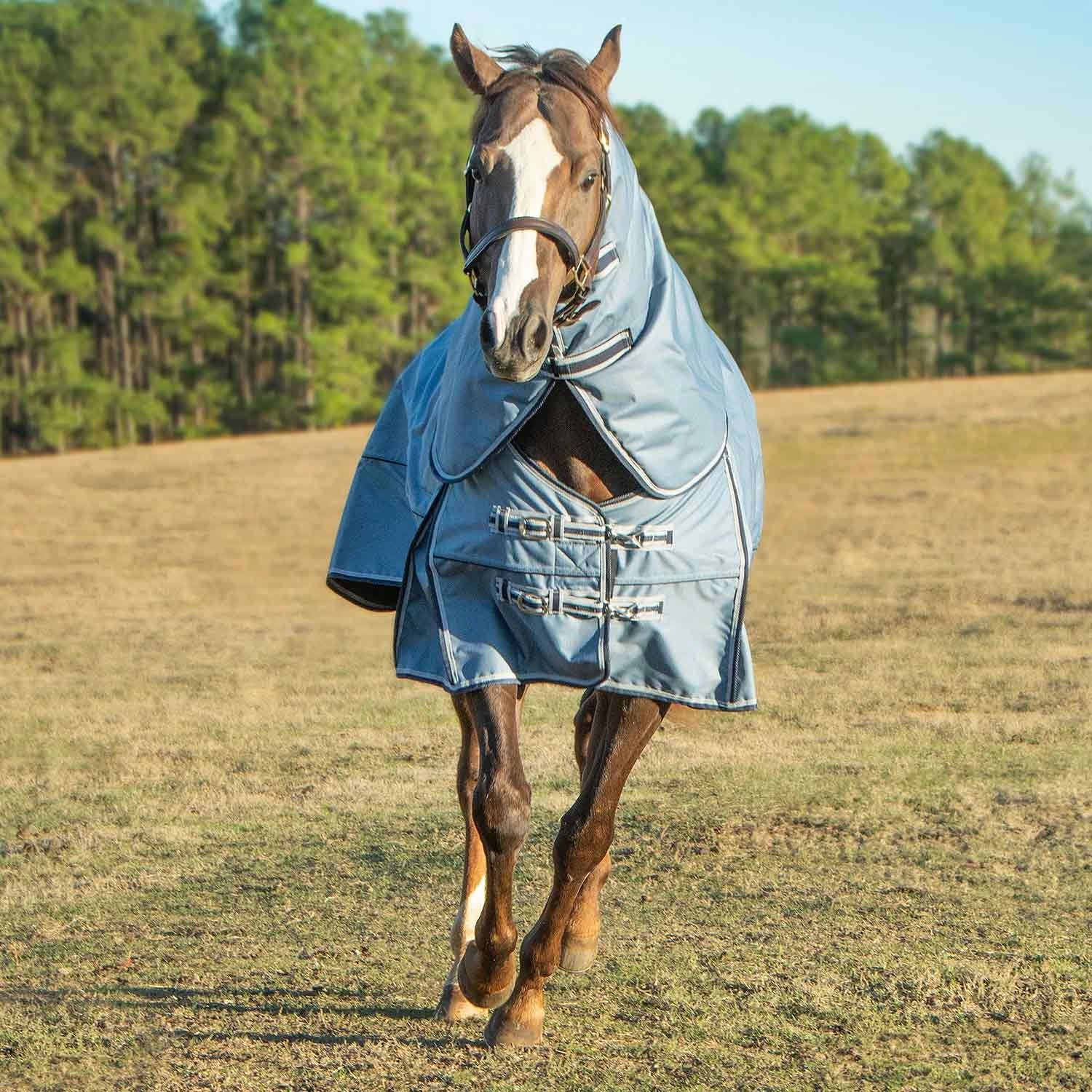 Jeffers Poplar Head Refuge 1200 Denier Turnout Blanket with Detachable Neck, 240 Gram, Hamilton Blue
