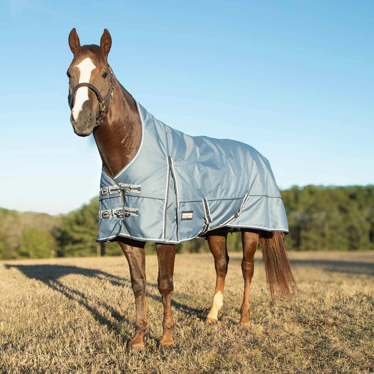 Jeffers Poplar Head Refuge 1200 Denier Turnout Blanket with High Neck, 240 Gram, Hamilton Blue