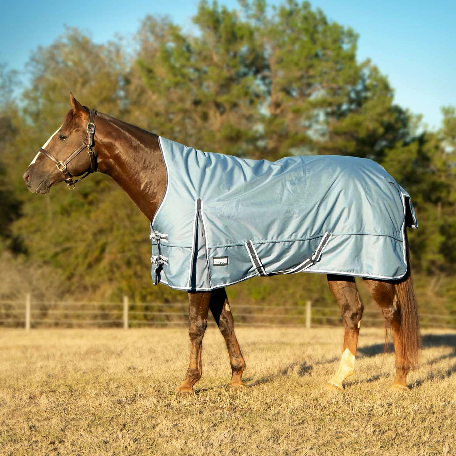 Jeffers Poplar Head Refuge 1200 Denier Turnout Blanket with High Neck, 240 Gram, Hamilton Blue