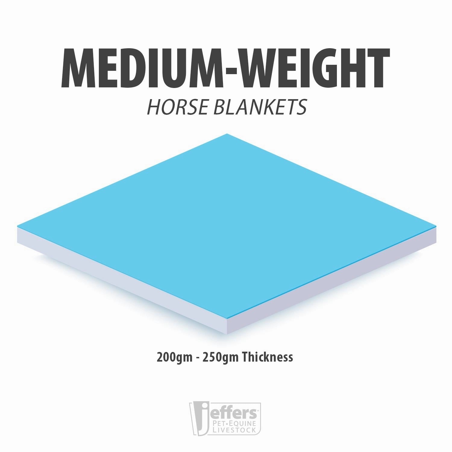 Jeffers Poplar Head Uniquely English 1200 Denier Turnout Blanket, 240 Gram, Spruce Stirrup Irons