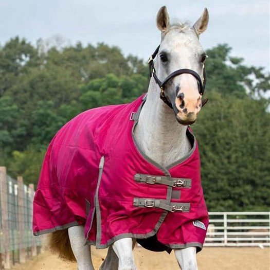 Jeffers Romper Stomper Horse Turnout Sheet, 1680 Denier, 0 Gram