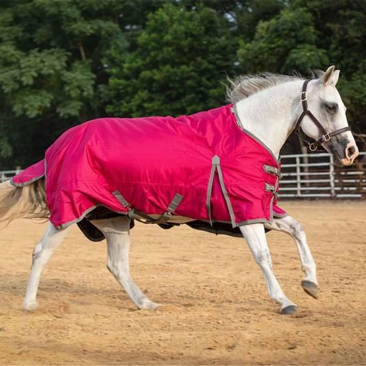 Jeffers Romper Stomper Horse Turnout Sheet, 1680 Denier, 0 Gram
