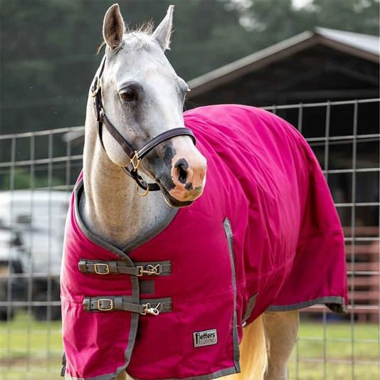 Jeffers Romper Stomper Horse Turnout Sheet, 1680 Denier, 0 Gram