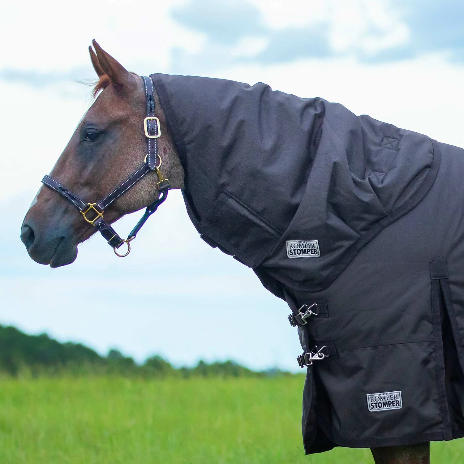 Jeffers Romper Stomper Neck Rug for Horses, 1680 Denier, 0 Gram Fill, Brown