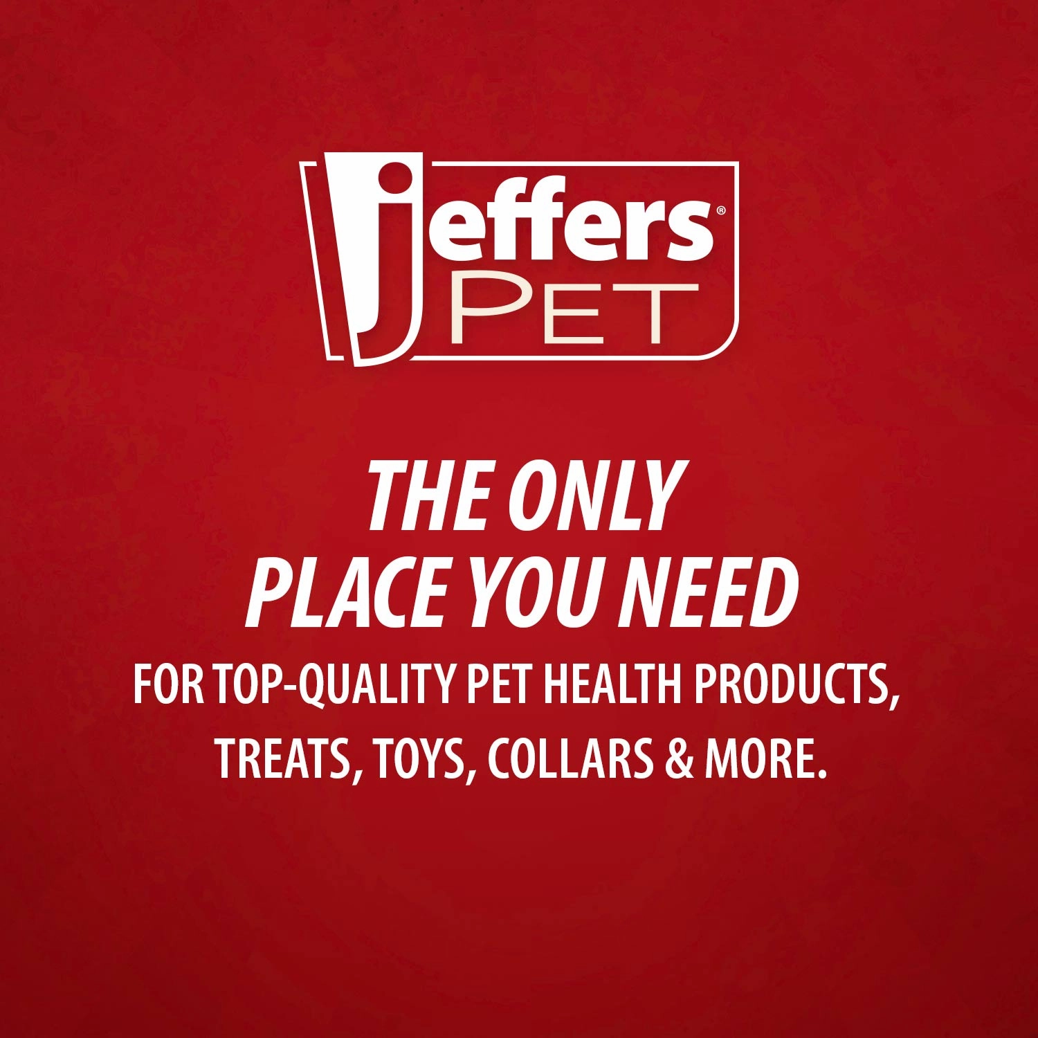Jeffers Sensitive Skin Unscented, Dye-Free, Fragrance-Free Pet Shampoo, Gallon