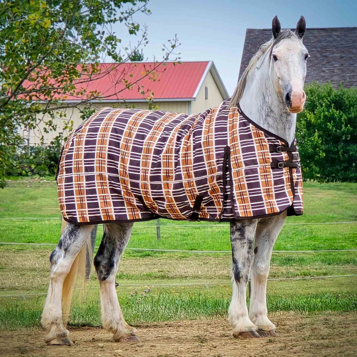 Jeffers Solaris 1200 Denier Draft Horse Turnout Blanket, 240g, Brown & Cream Plaid