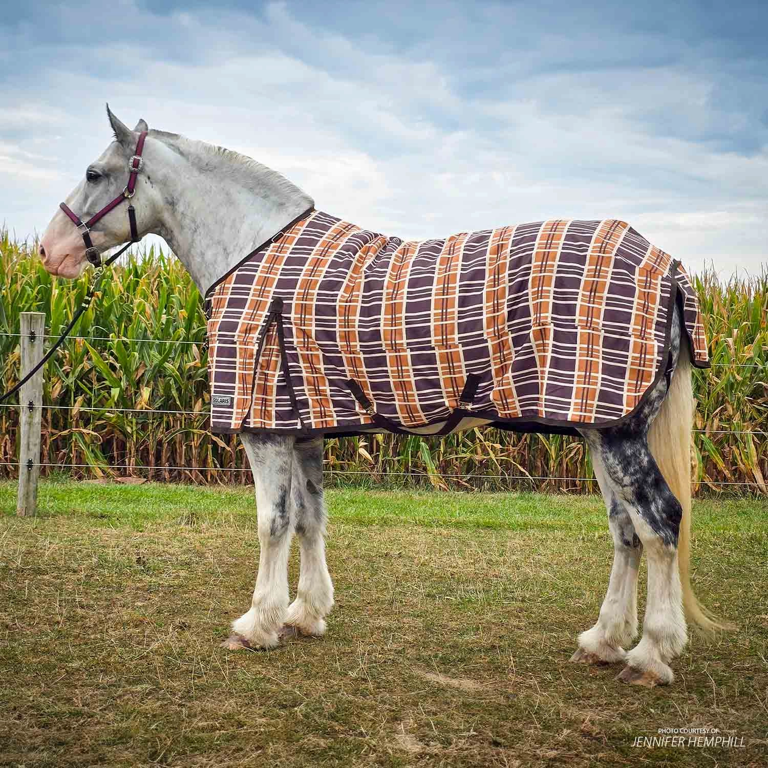Jeffers Solaris 1200 Denier Draft Horse Turnout Blanket, 240g, Brown & Cream Plaid