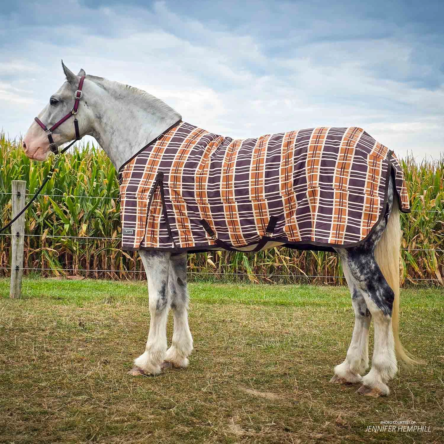 Jeffers Solaris 1200 Denier Draft Horse Turnout Sheet, 0g Fill, Brown & Cream Plaid