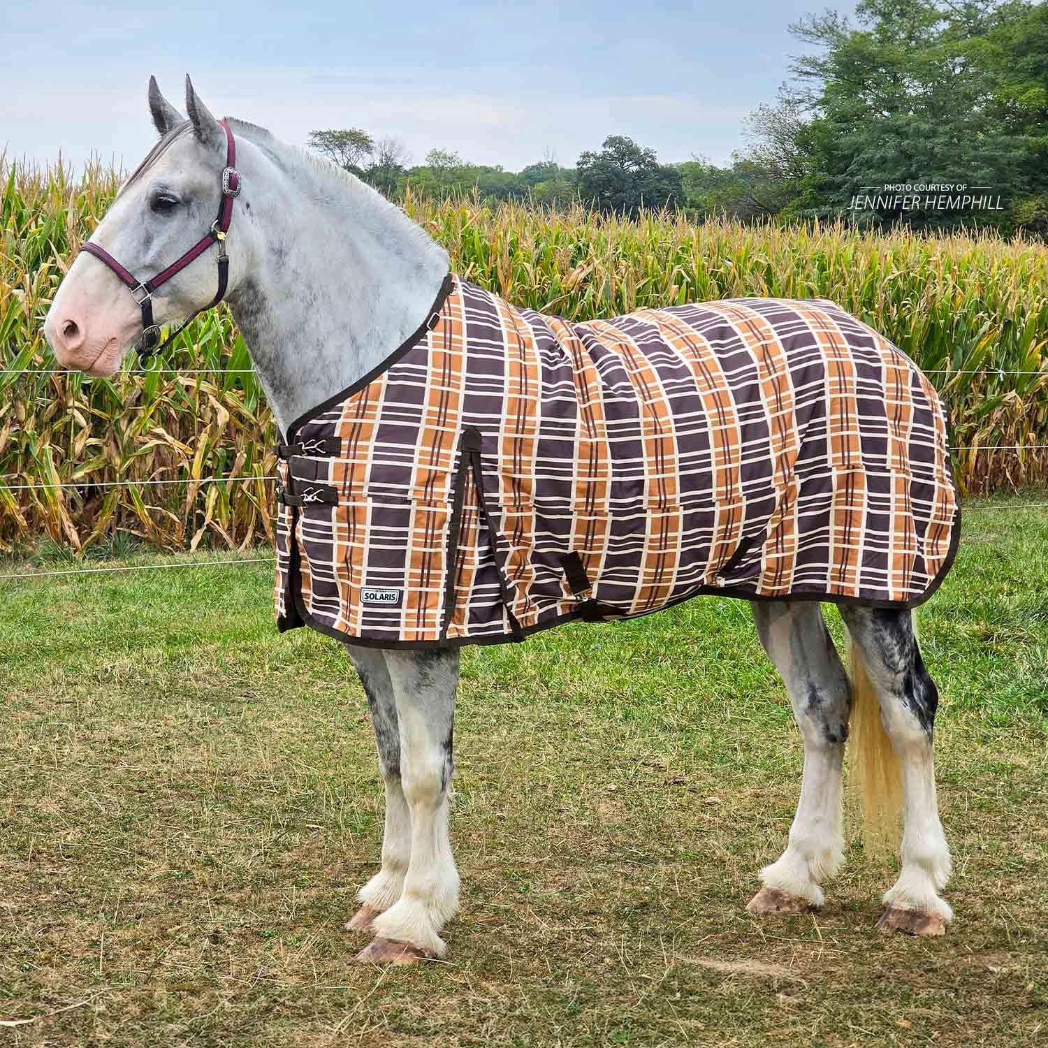 Jeffers Solaris 1200 Denier Draft Horse Turnout Sheet, 0g Fill, Brown & Cream Plaid